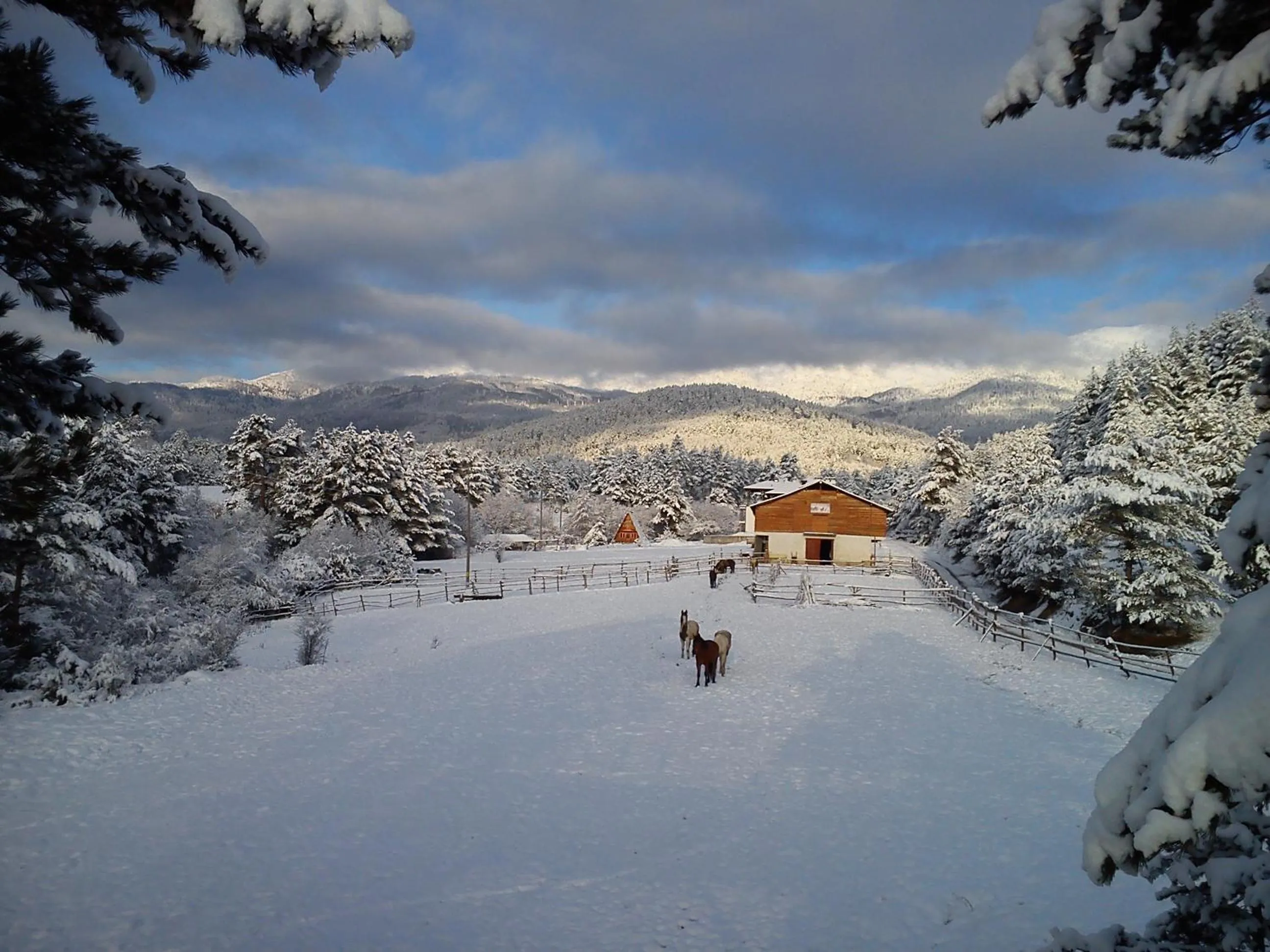 Natural landscape in Rusaliite Adventure House