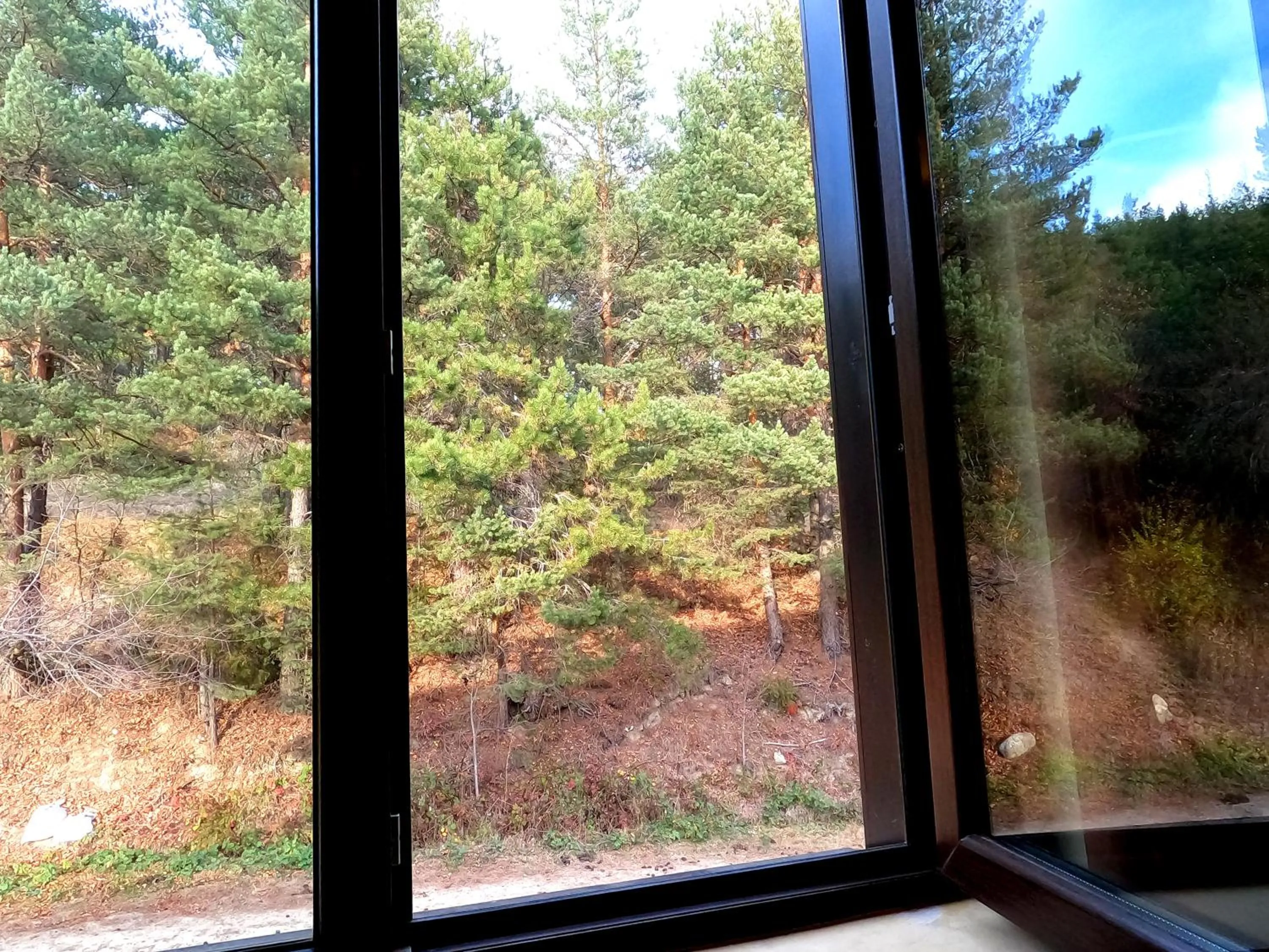 Garden view in Rusaliite Adventure House