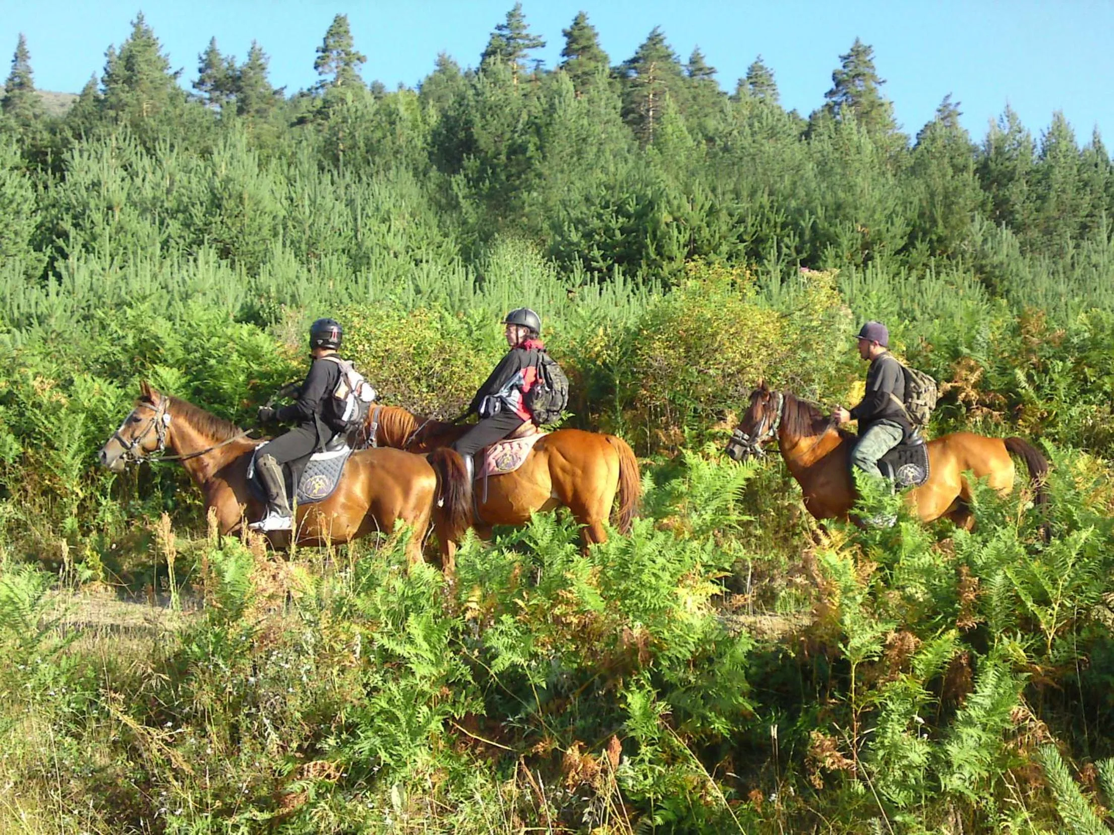 Horse-riding in Rusaliite Adventure House