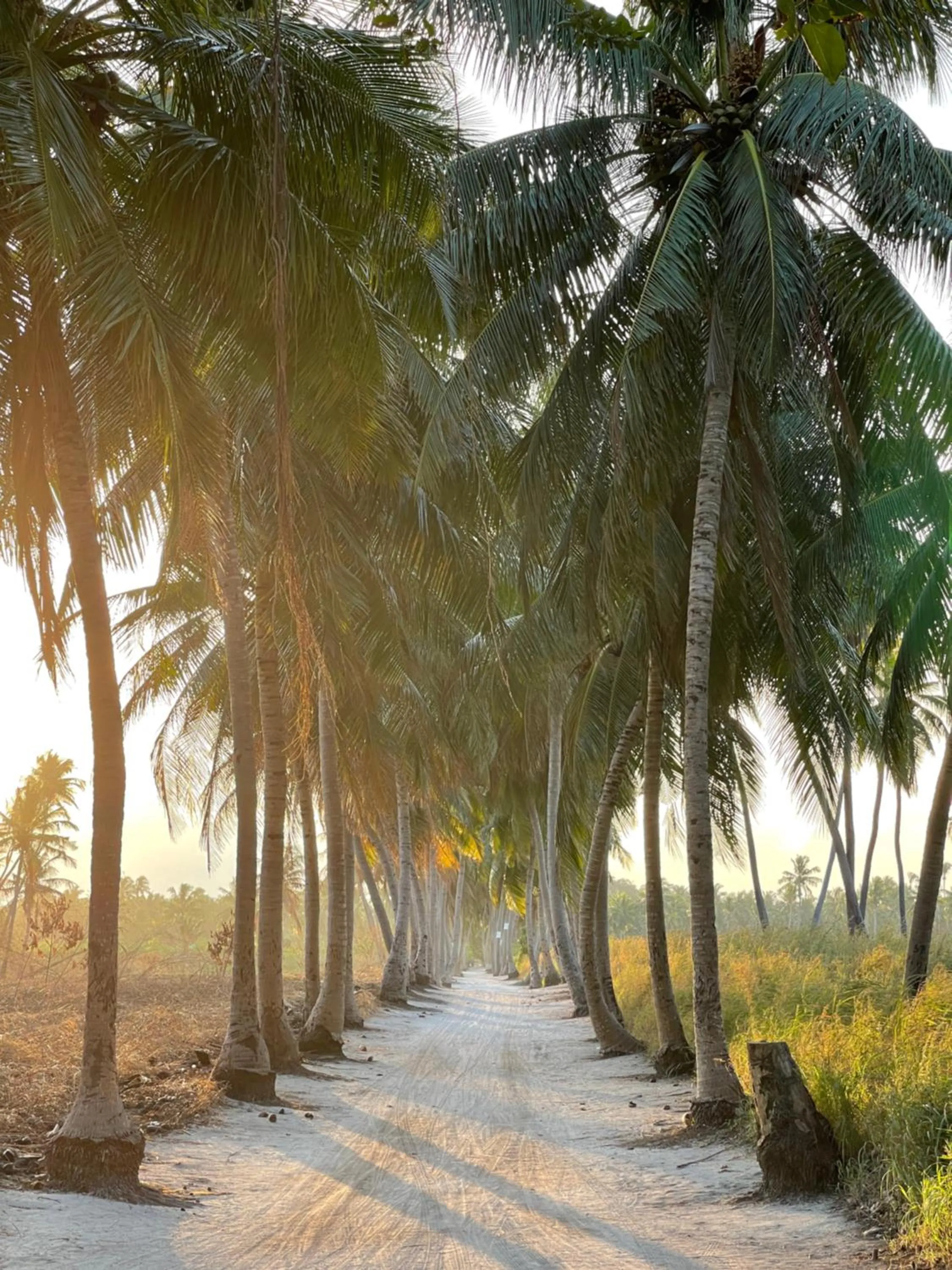 Thoddoo Retreat Grand