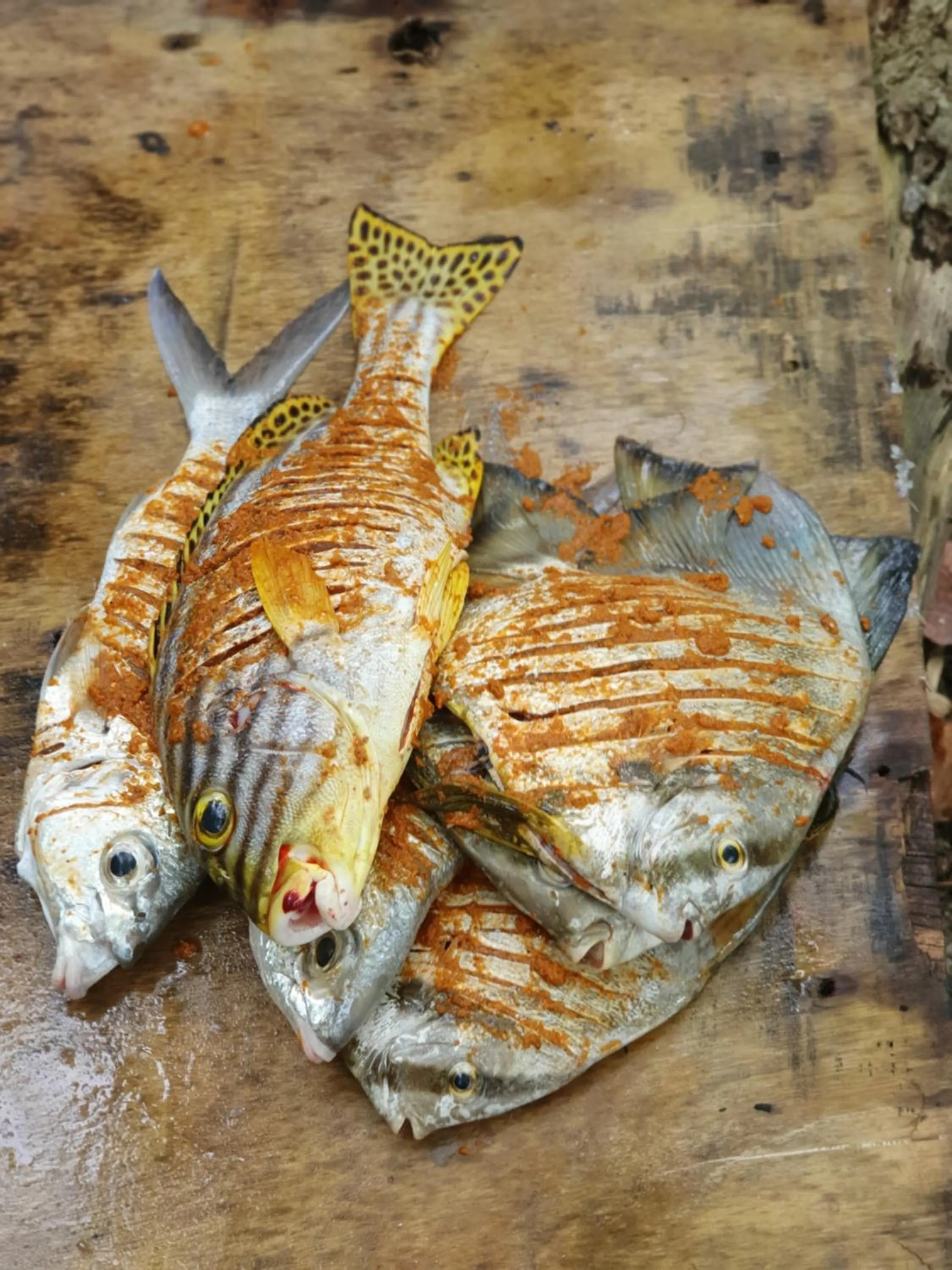 Thoddoo Retreat Grand