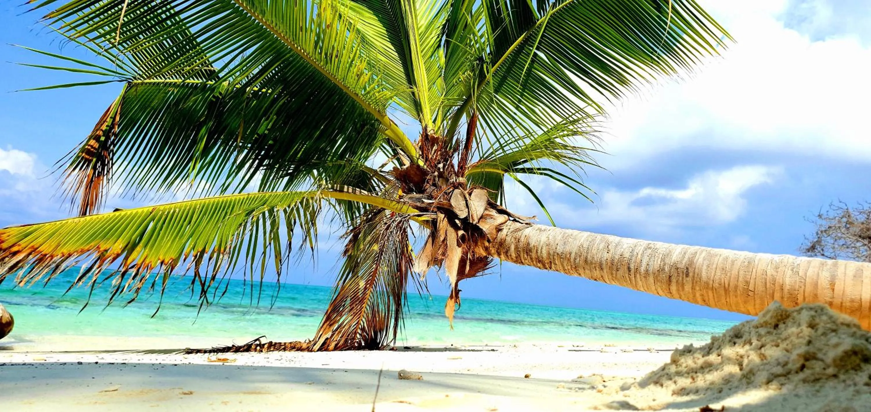 Thoddoo Retreat Grand