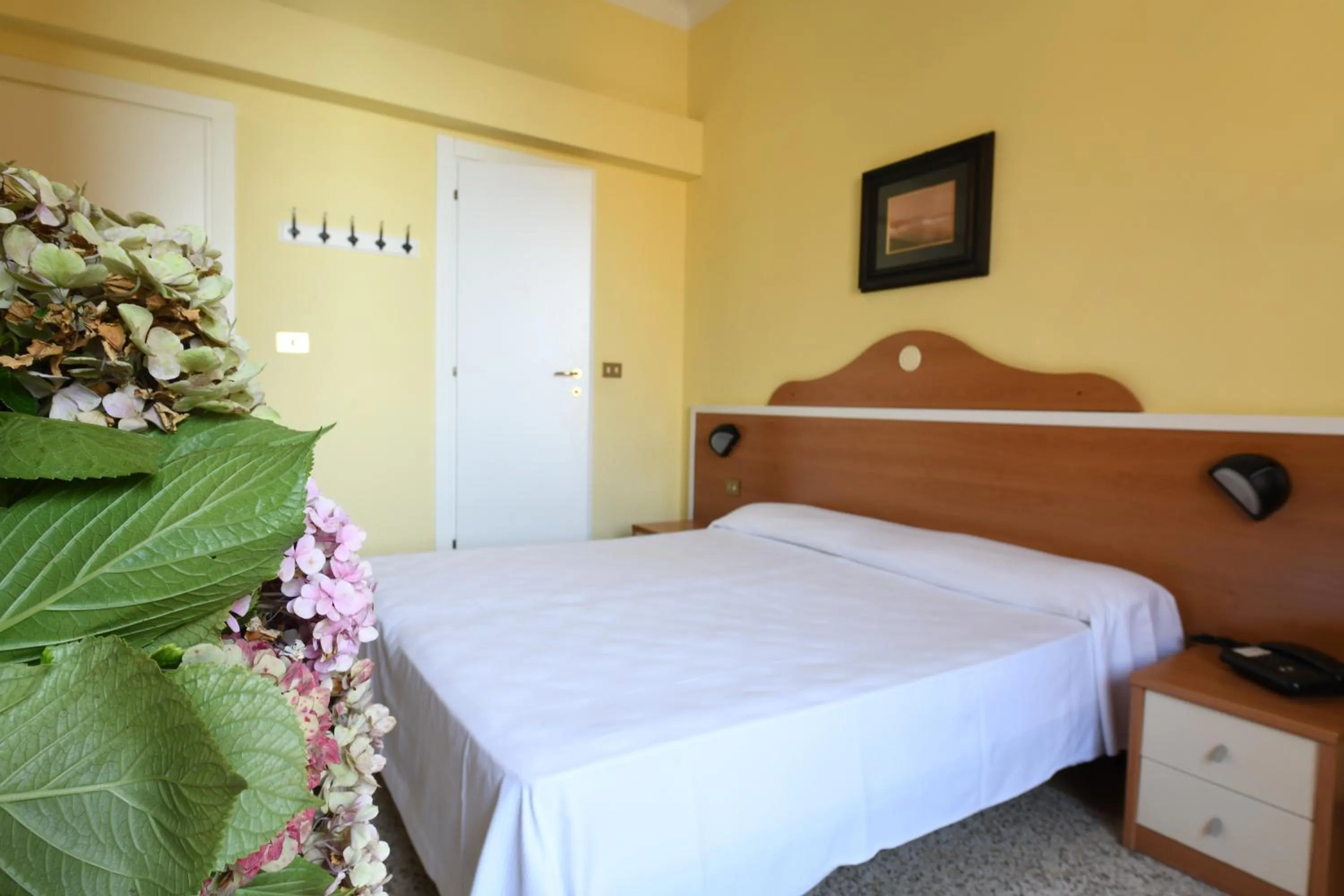 Hotel Villa Maria & Apartment