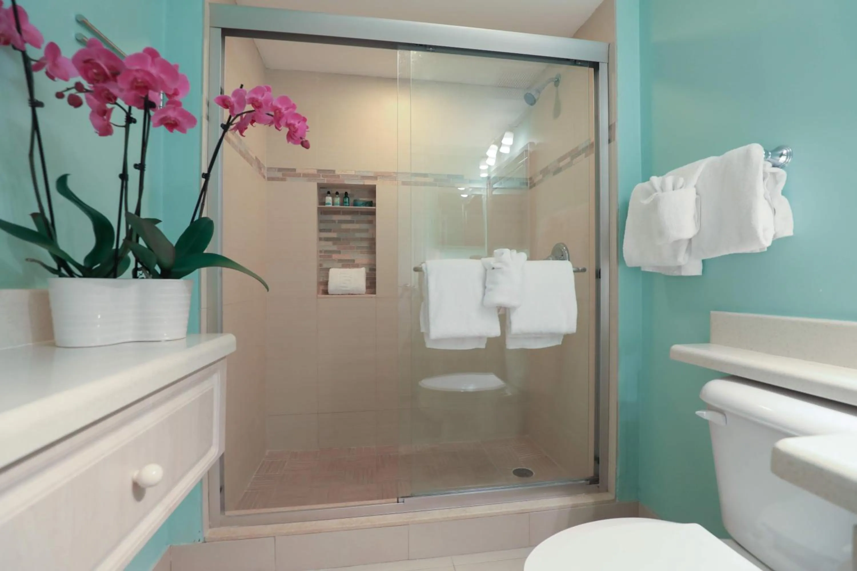 Shower in Ocean Pointe Suites at Key Largo