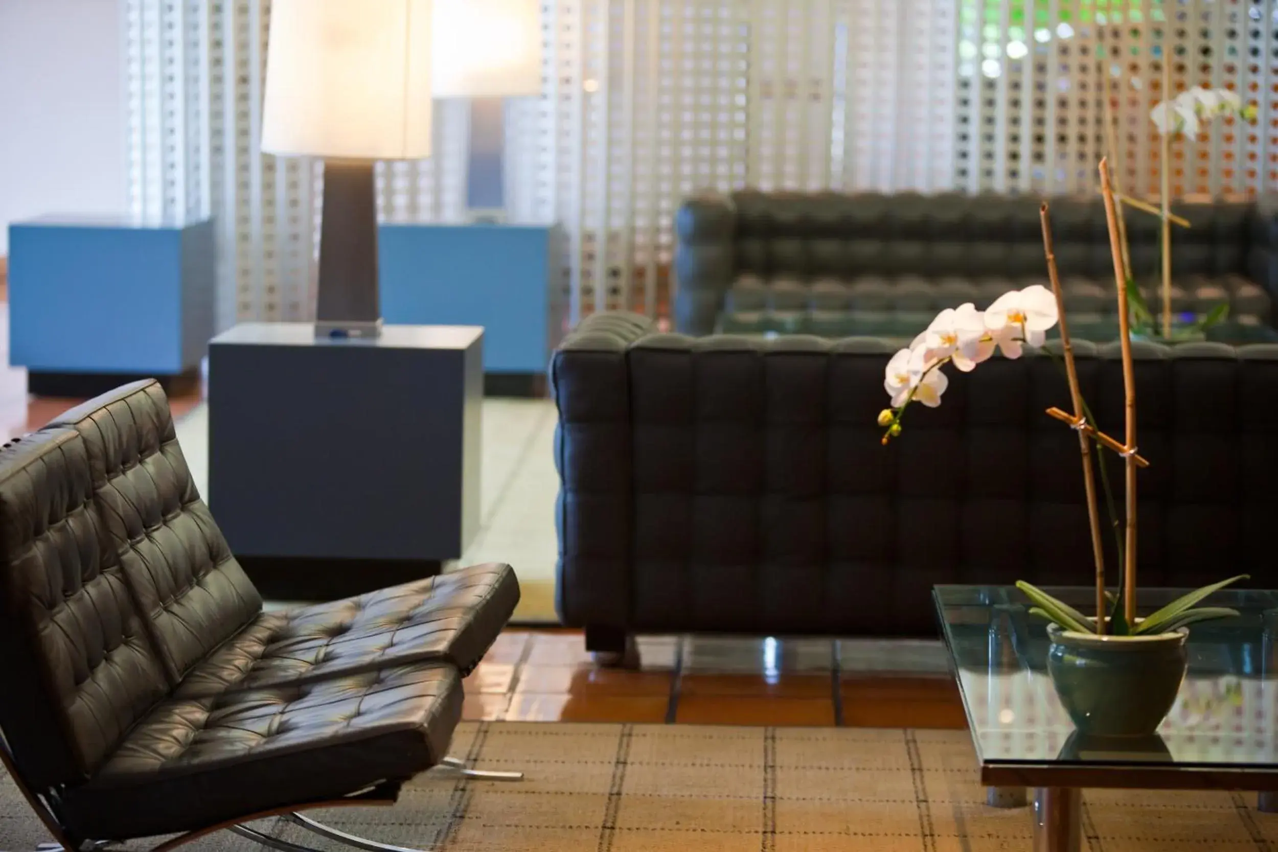 Lobby or reception in Washington Plaza Hotel Lobby or reception in Washington Plaza Hotel