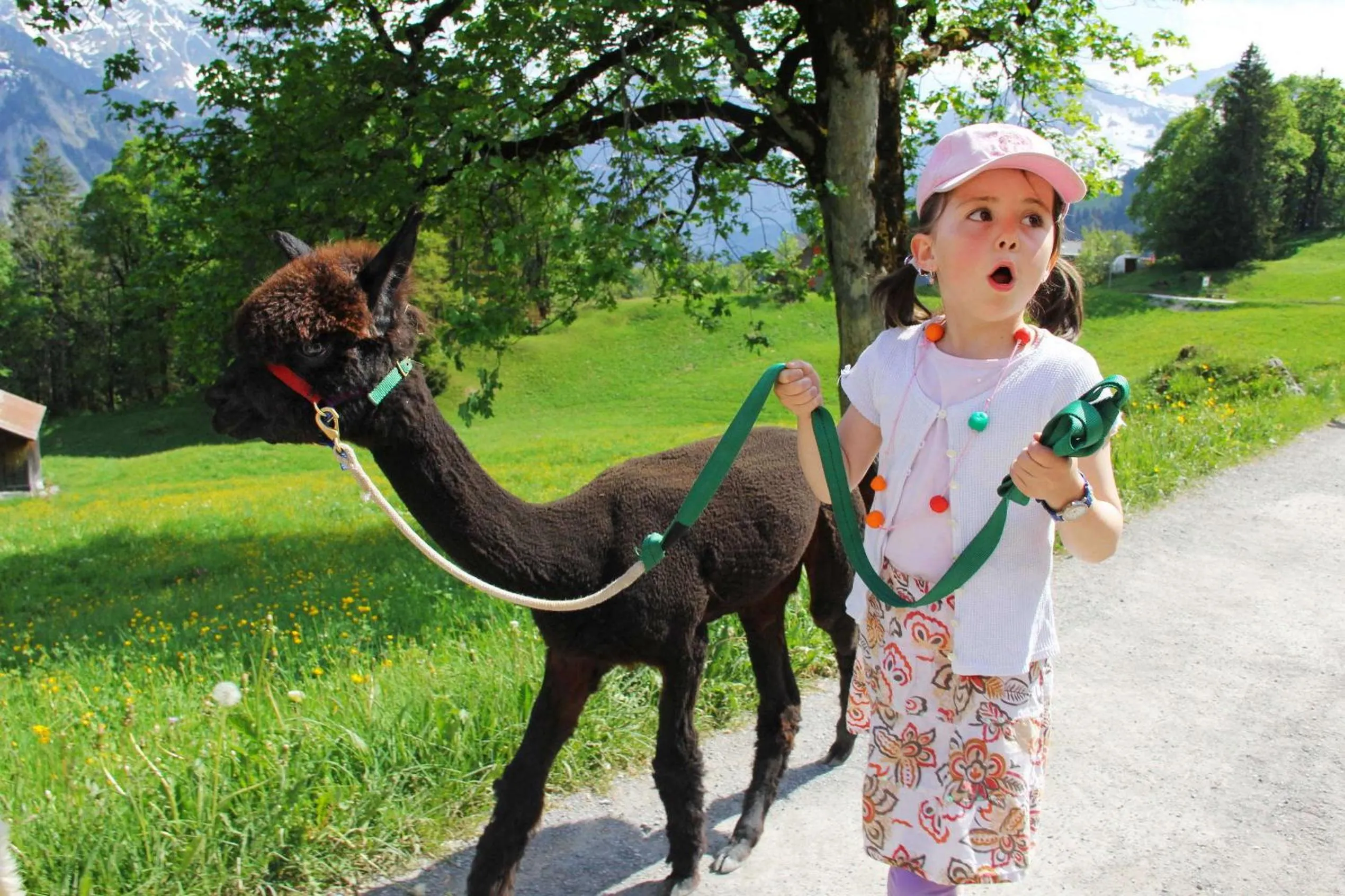 People in Märchenhotel