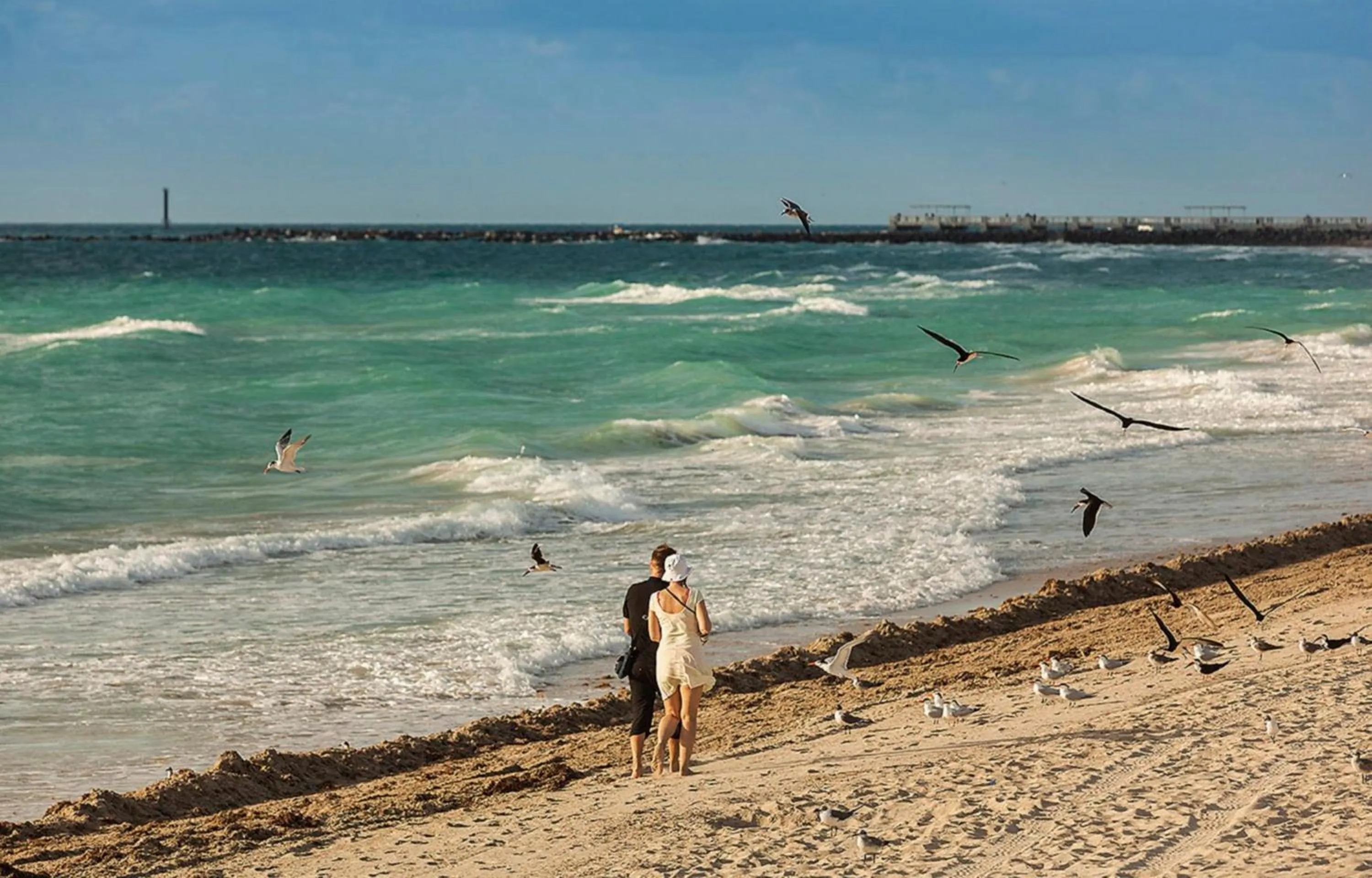 Beach in The Tony Hotel South Beach