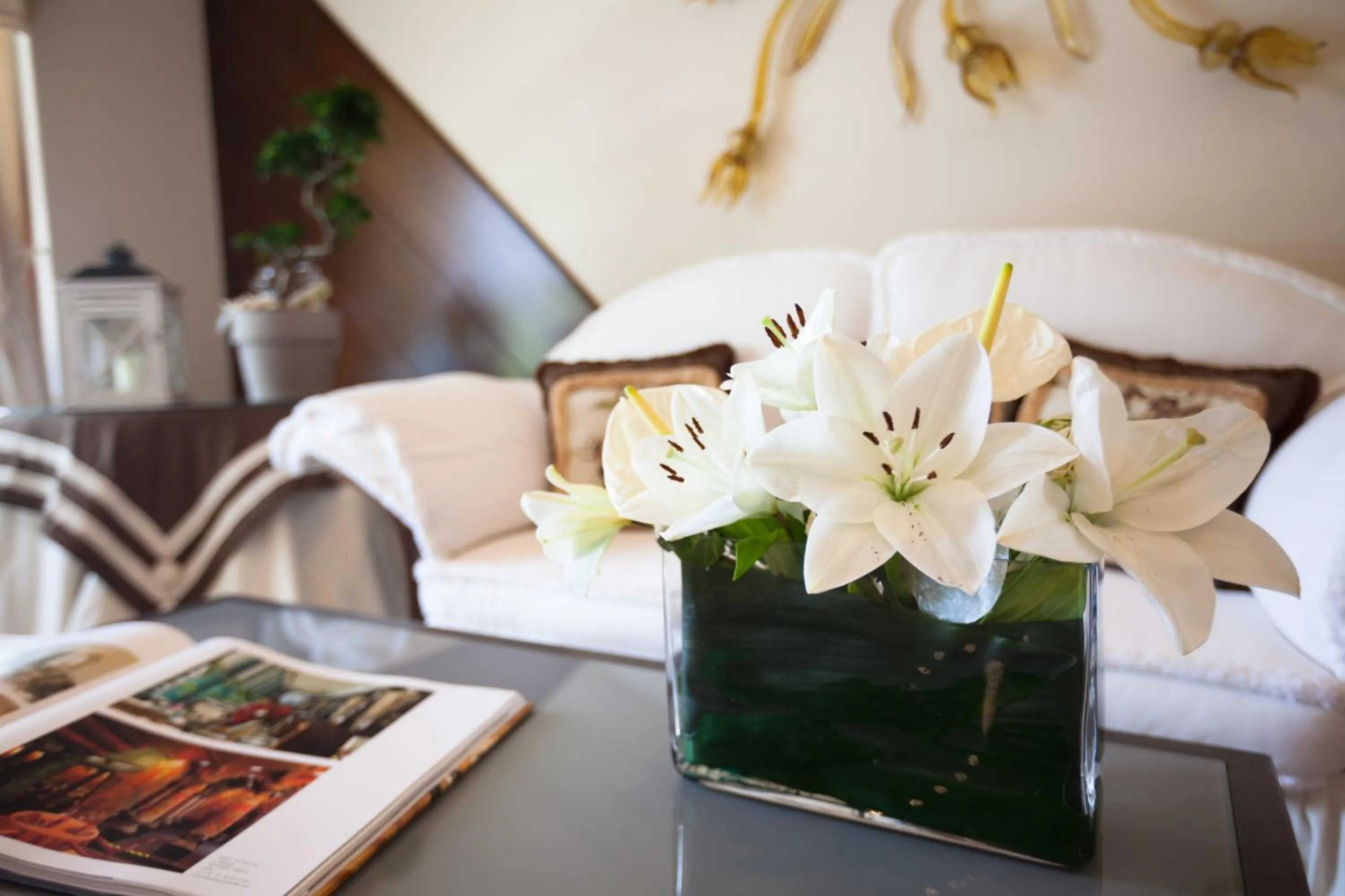 Spring in Hotel Elite