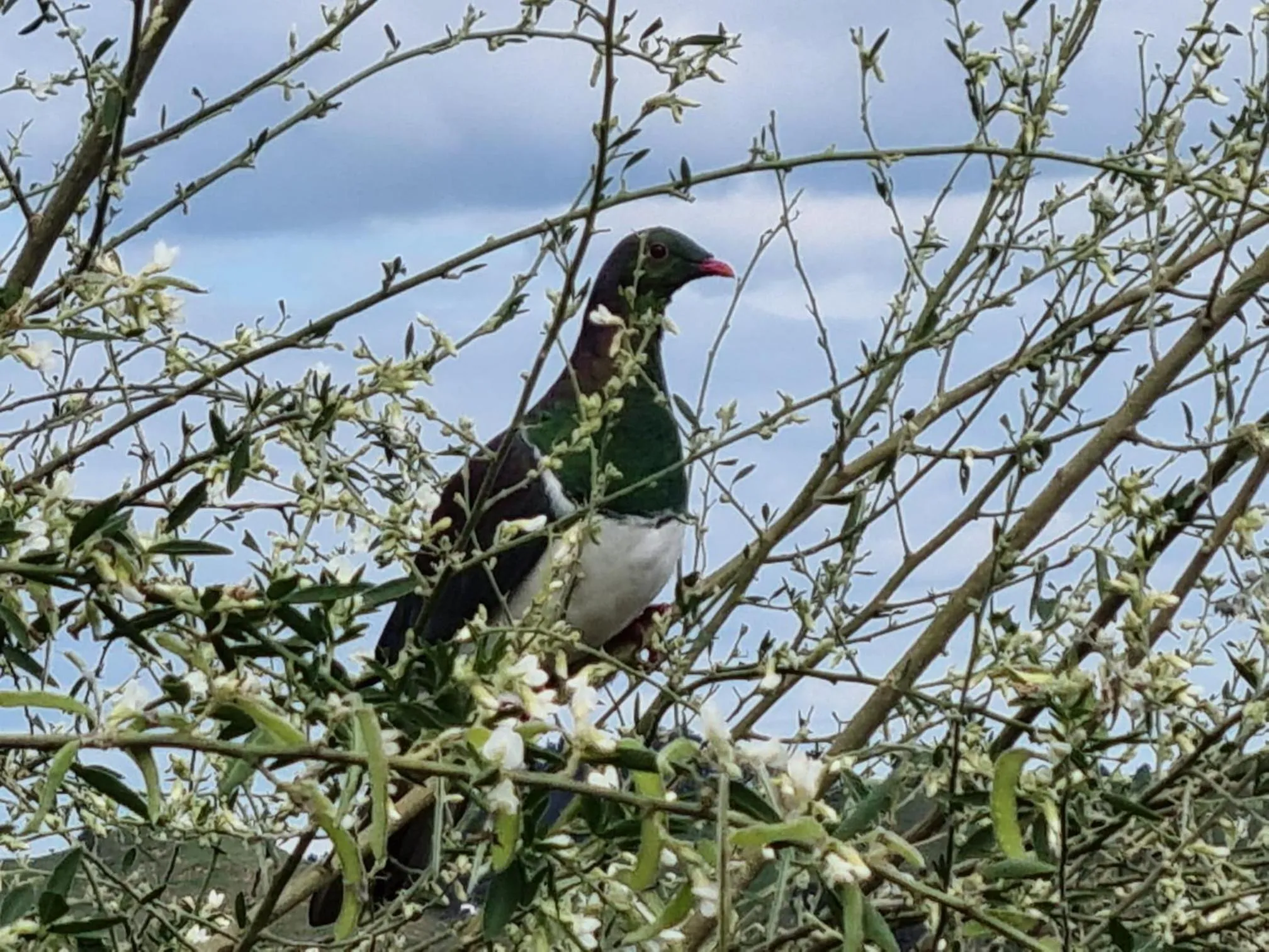 Day in Nadarra Hideaway