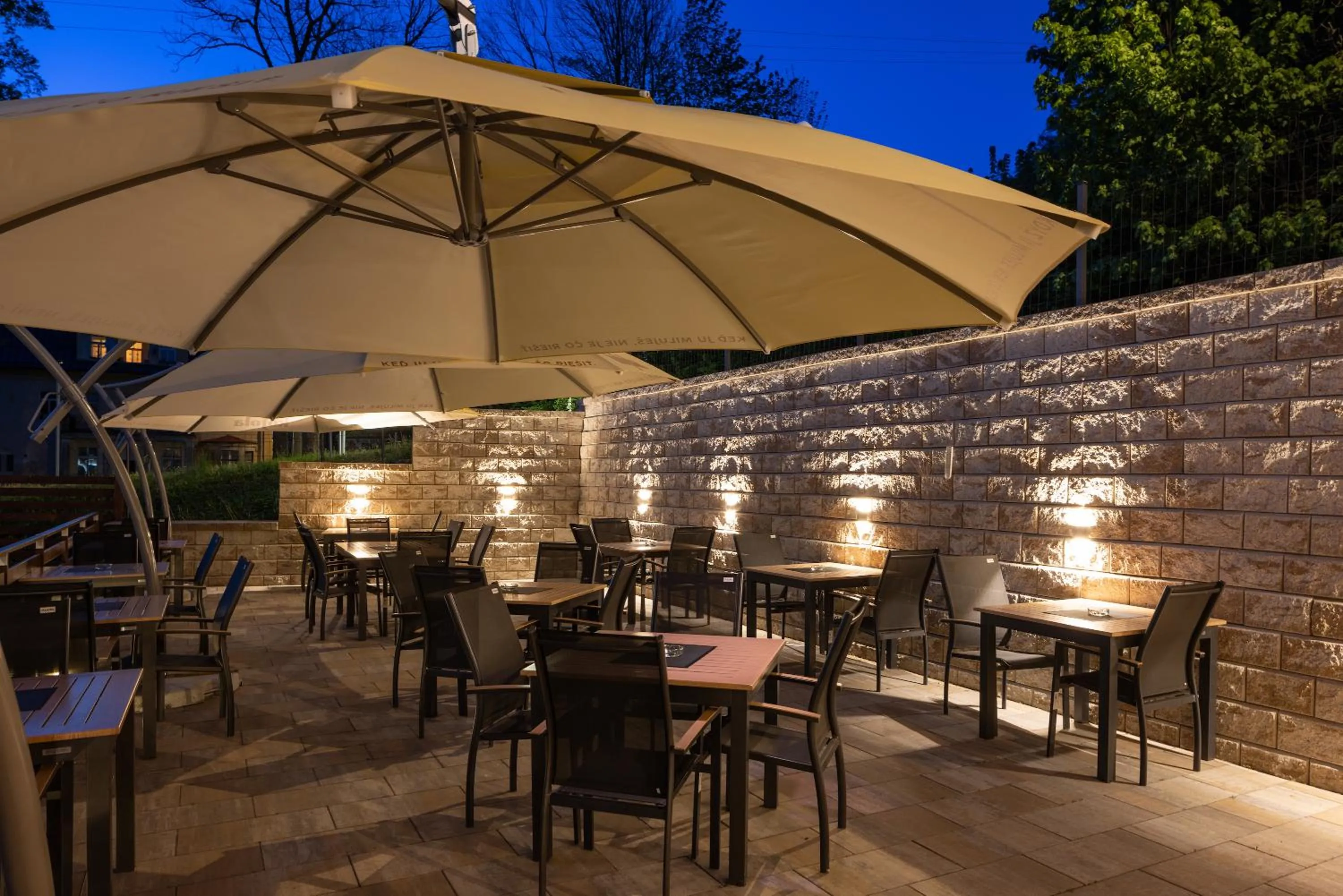 Patio in Hotel Praděd Thamm