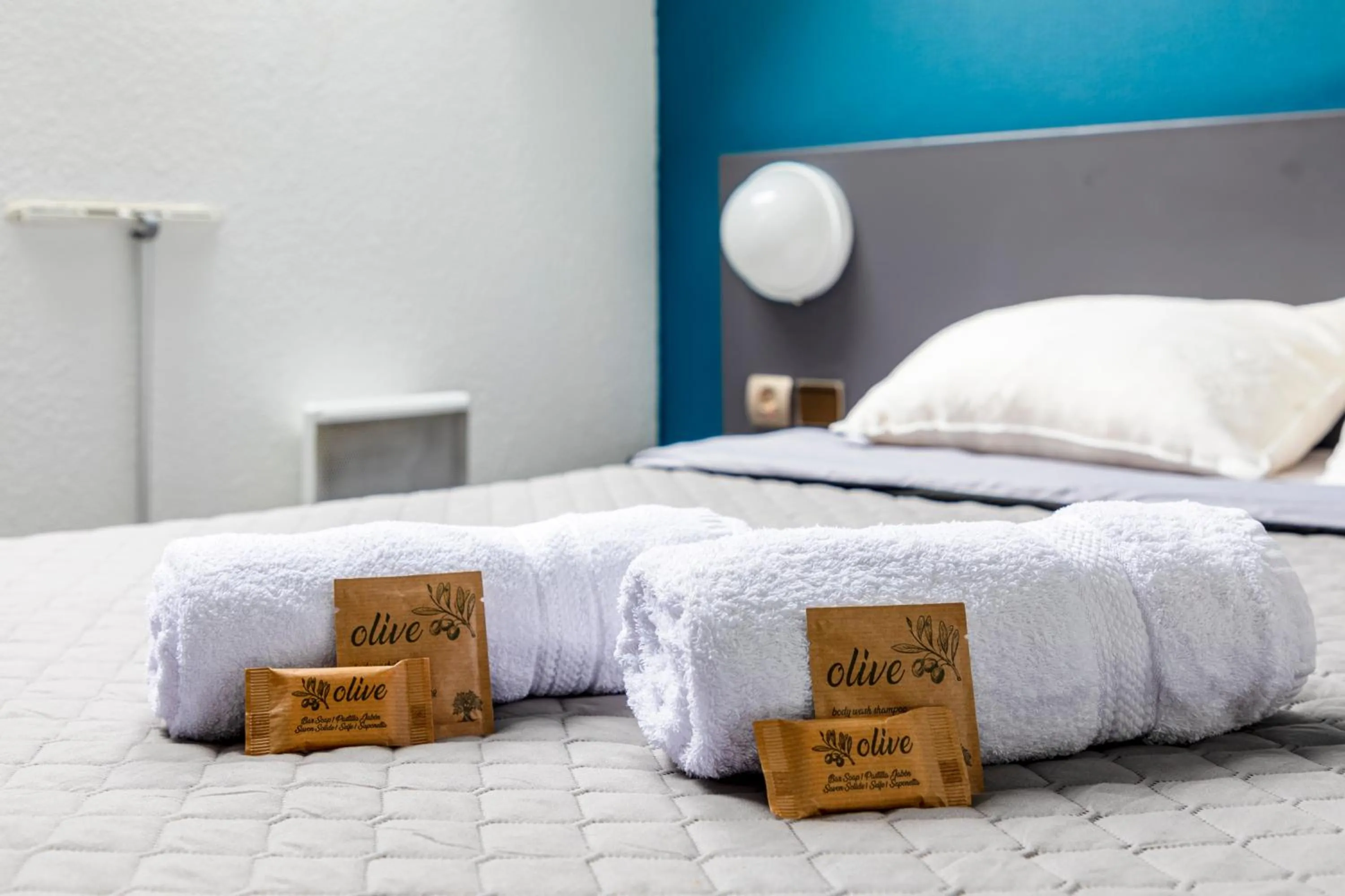 Bed in Hôtel La Nonette ASTERIX, CDG AIRPORT & PARIS CENTRE