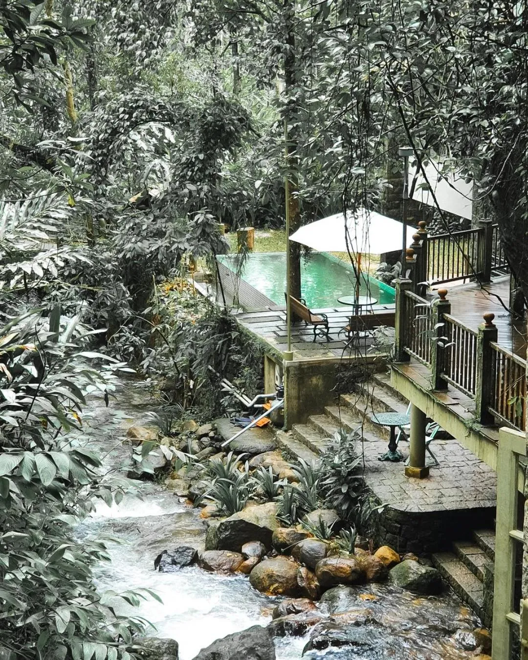 Pool view in Mystic Mayapott, Thekkady