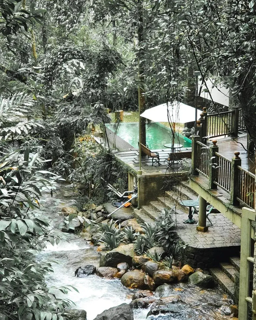 Pool view in Mystic Mayapott, Thekkady Pool view in Mystic Mayapott, Thekkady