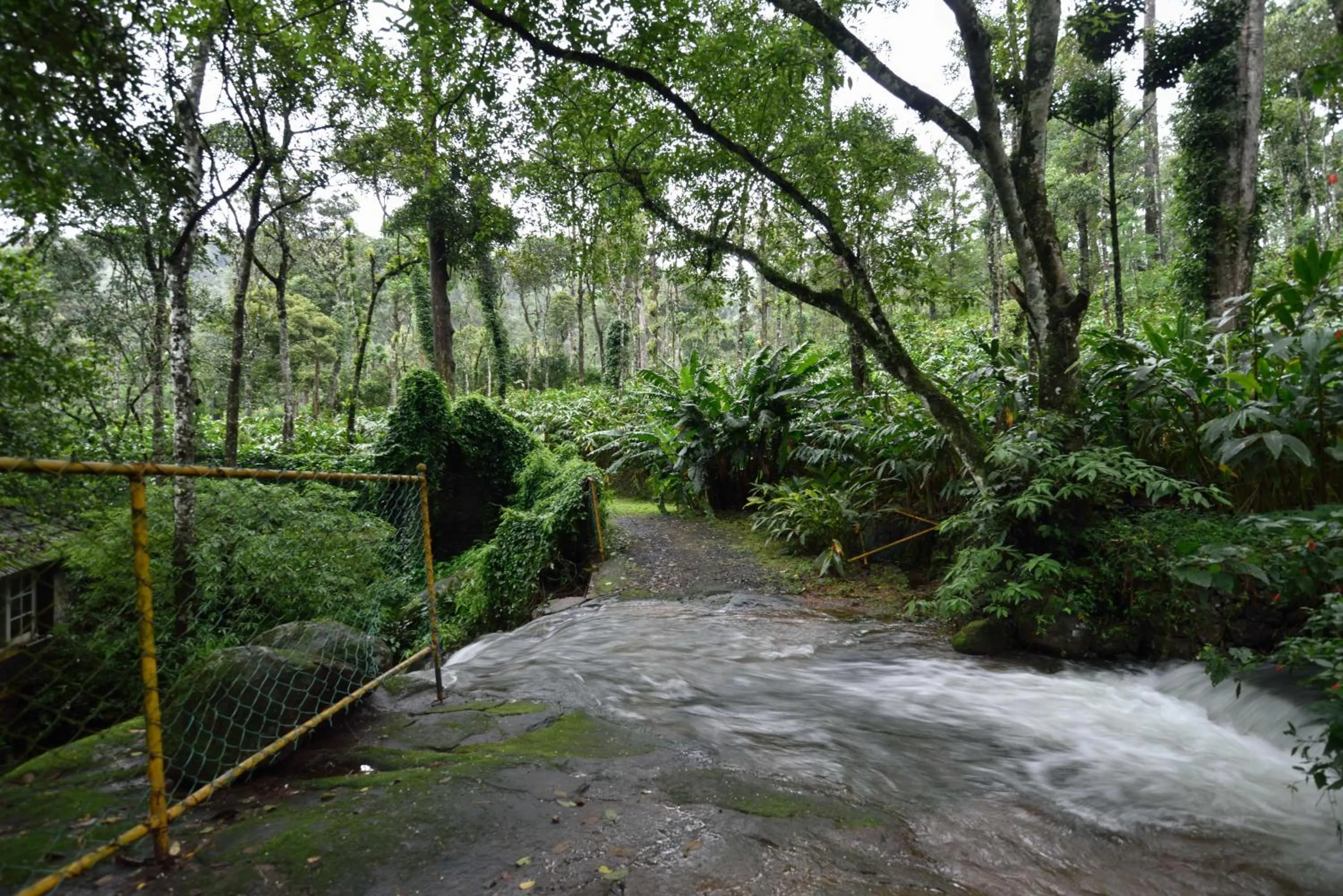 Natural landscape in Mystic Mayapott, Thekkady