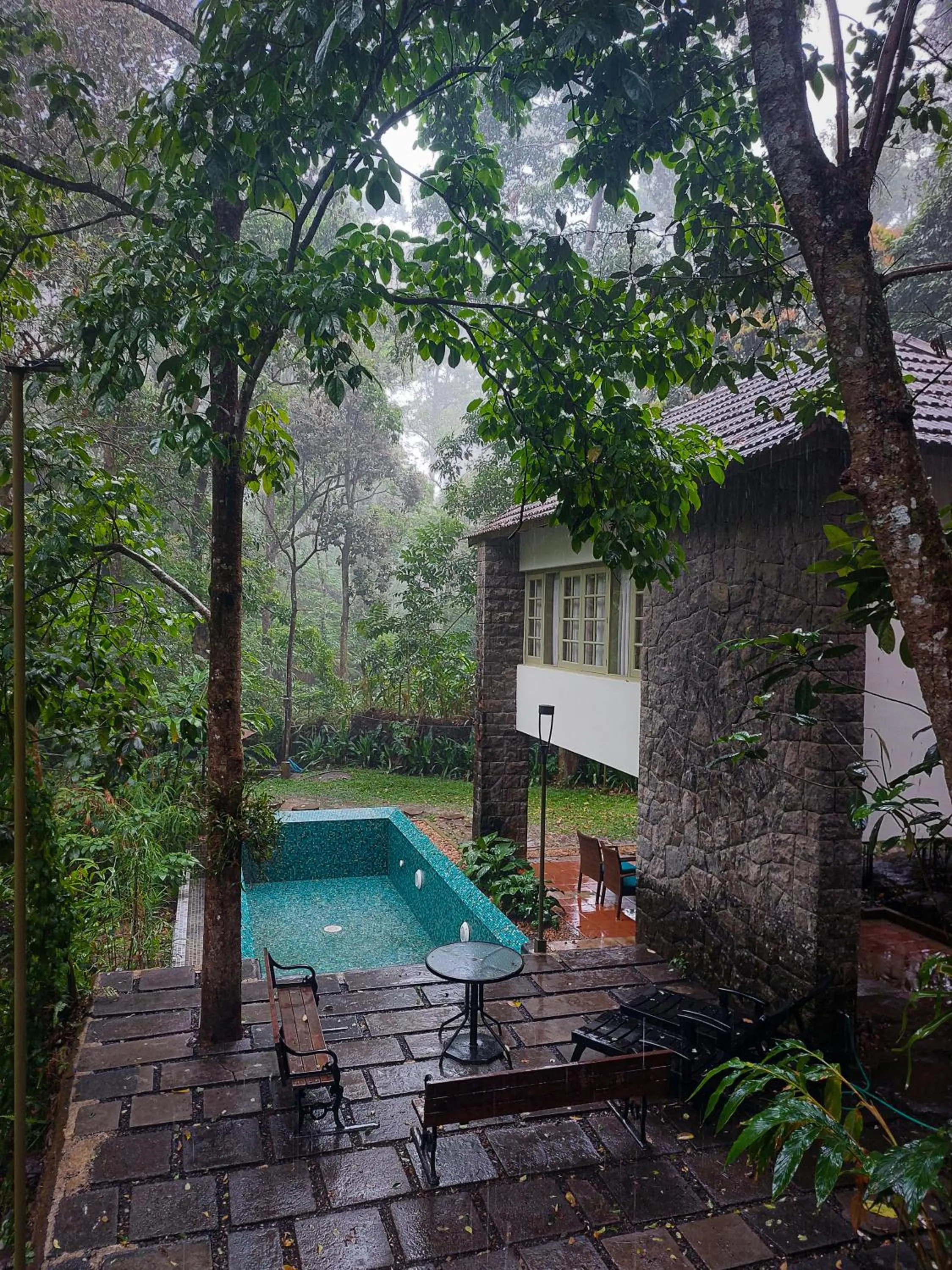 Day in Mystic Mayapott, Thekkady