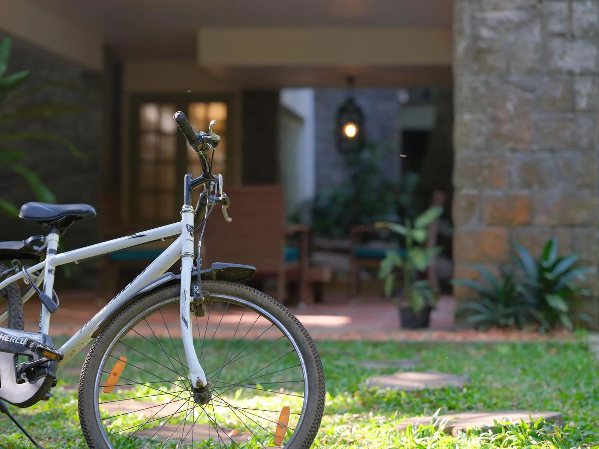 Activities in Mystic Mayapott, Thekkady