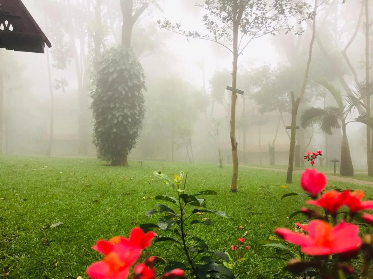 Property building in Mystic Mayapott, Thekkady