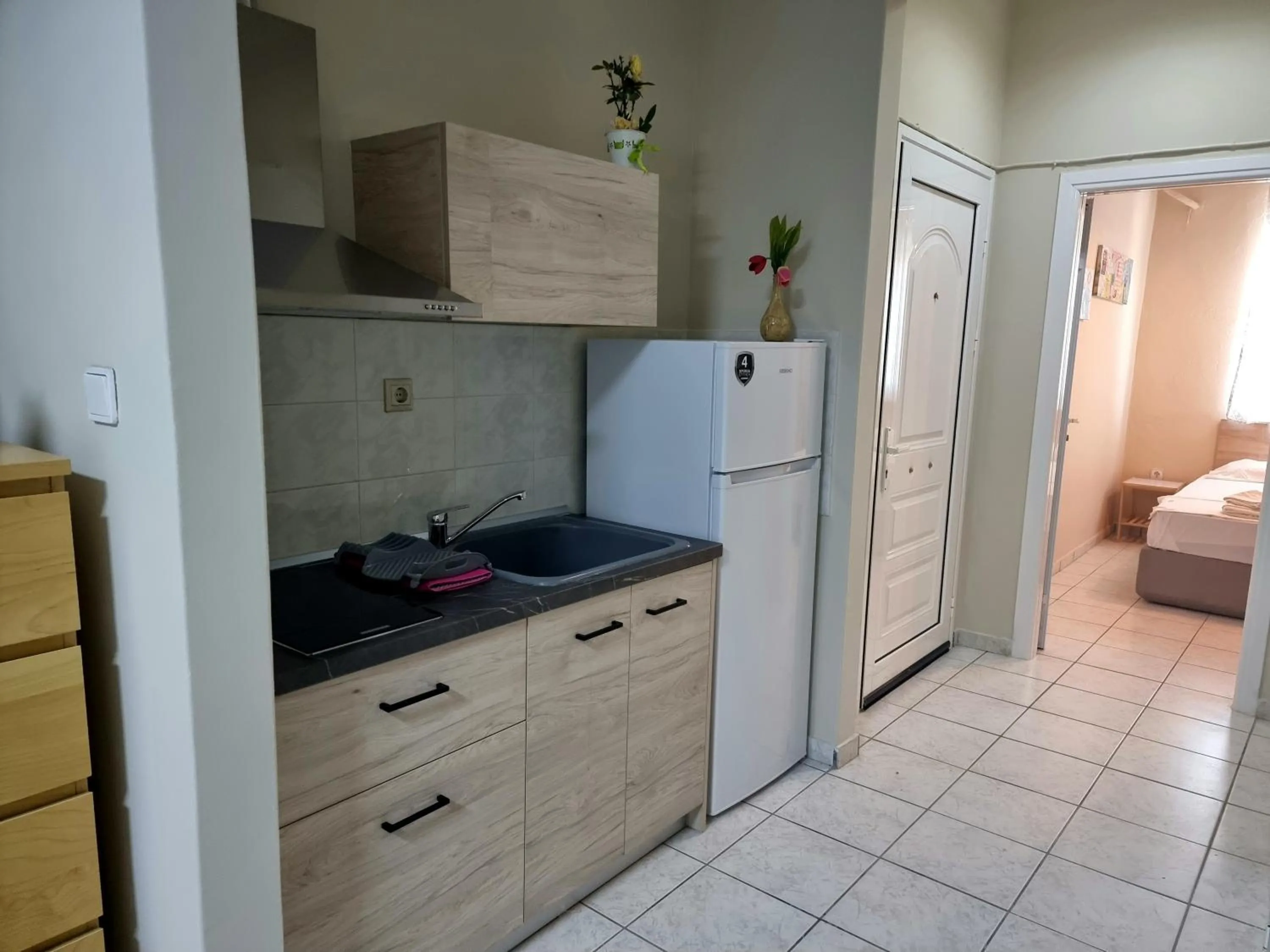 Kitchen or kitchenette in Hotel Nautilos