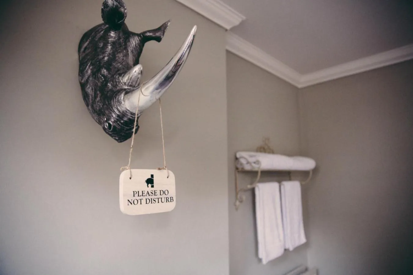 Decorative detail in The Curious Pig in the Parlour