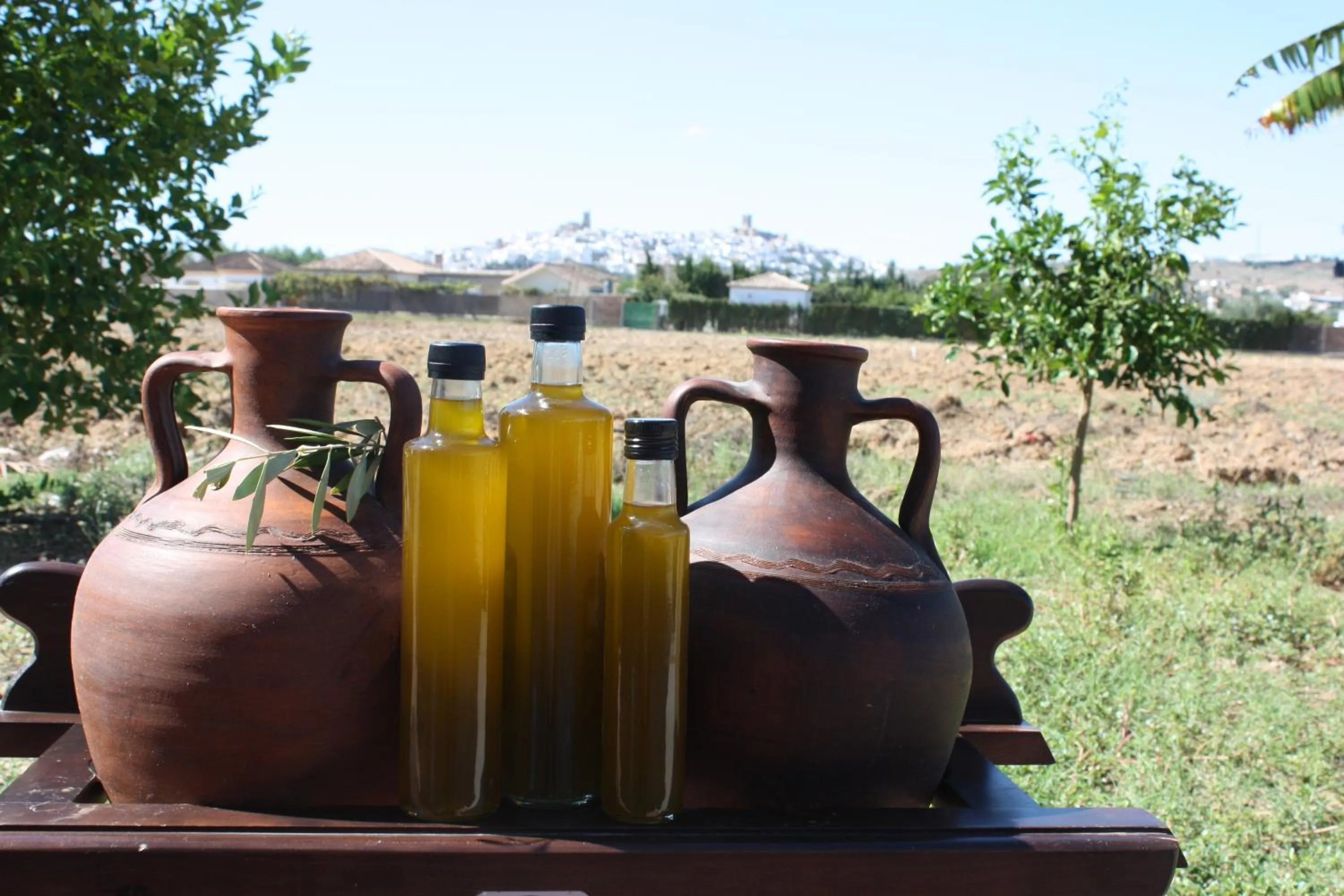 Natural landscape in Hostal Rural La Plata Parking Incluido
