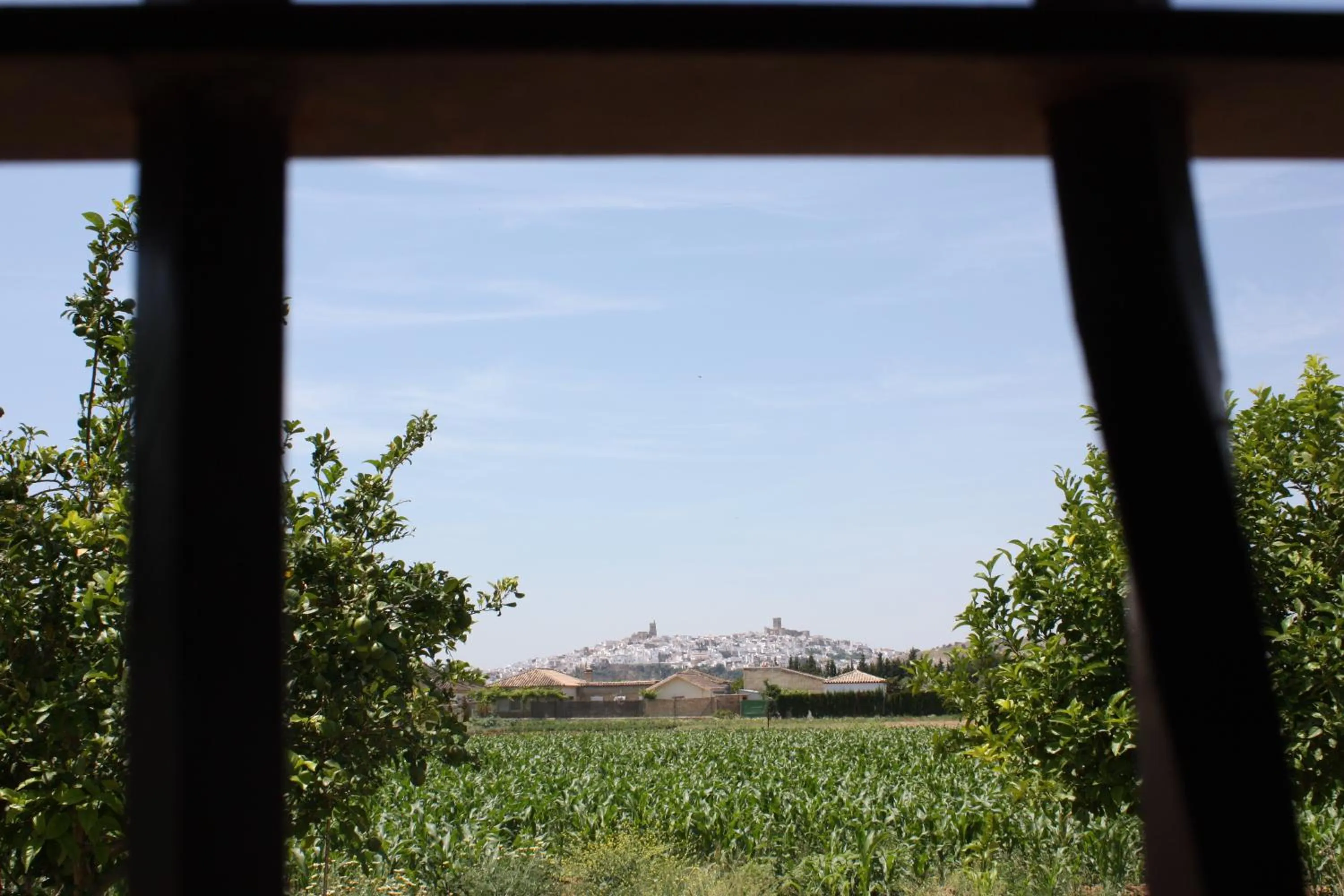 Area and facilities in Hostal Rural La Plata Parking Incluido