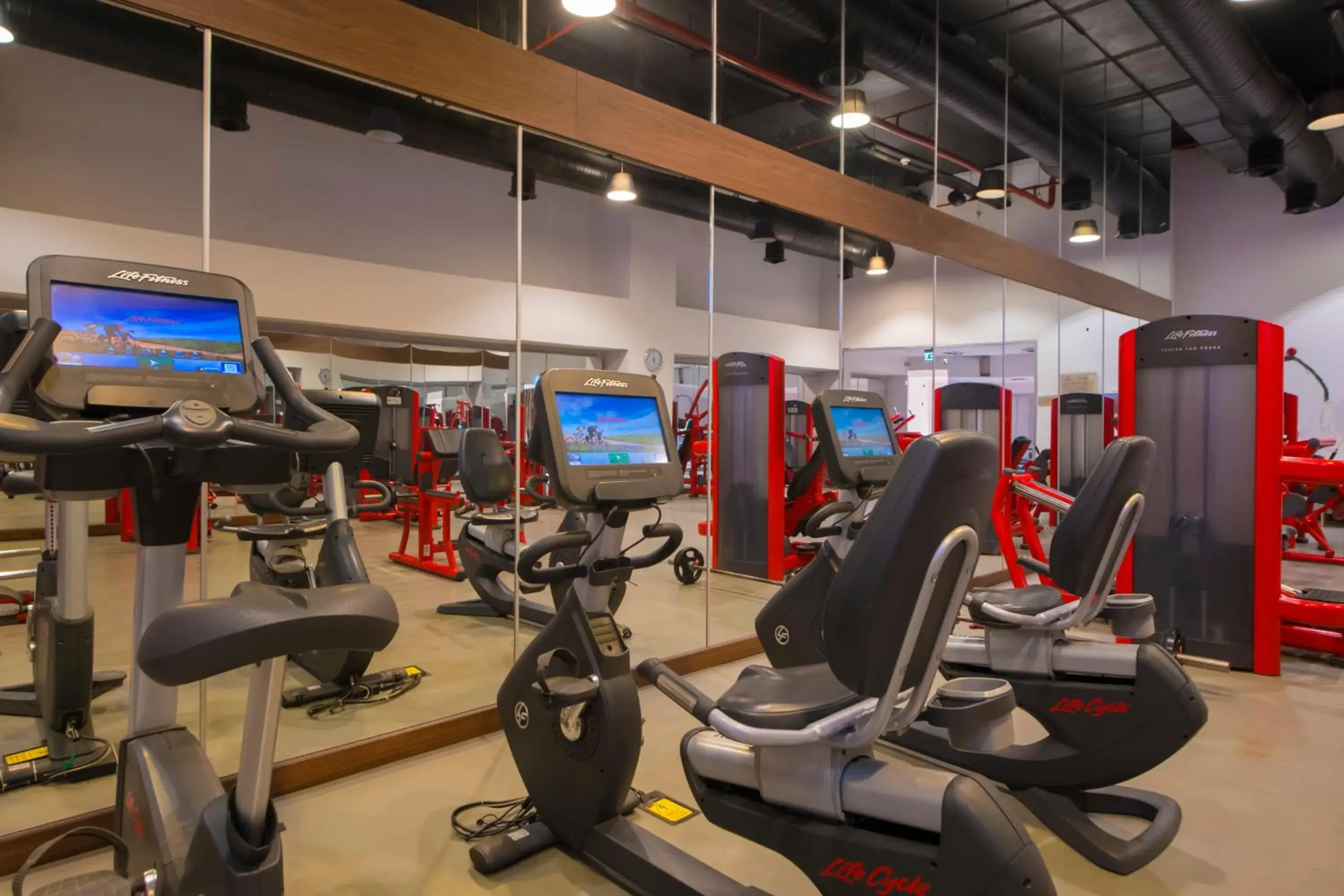 Fitness centre/facilities in Crowne Plaza Kayseri by IHG Fitness centre/facilities in Crowne Plaza Kayseri by IHG