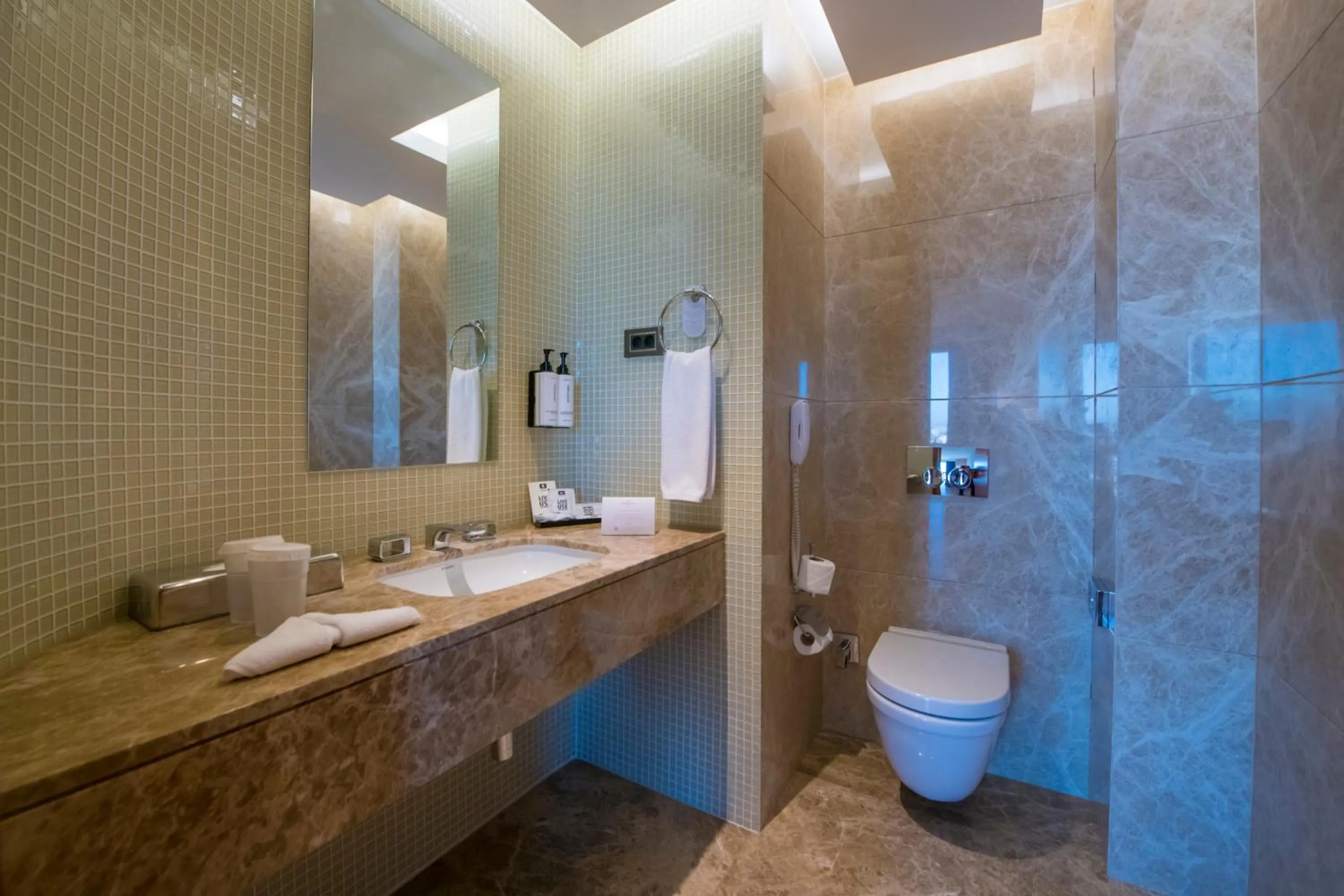 Bathroom in Crowne Plaza Kayseri by IHG