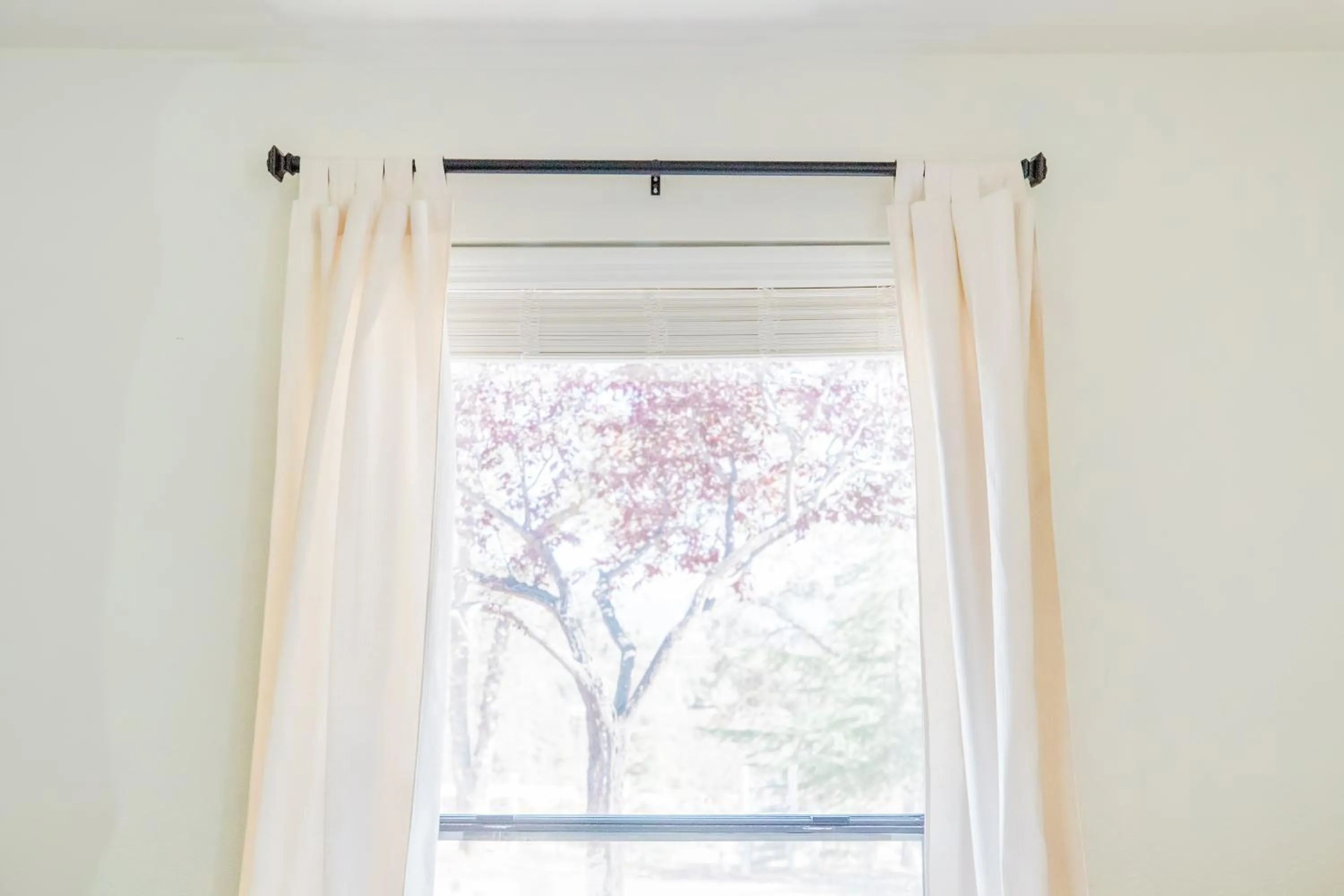 Garden view in Moon Ranch - a gateway to Yosemite