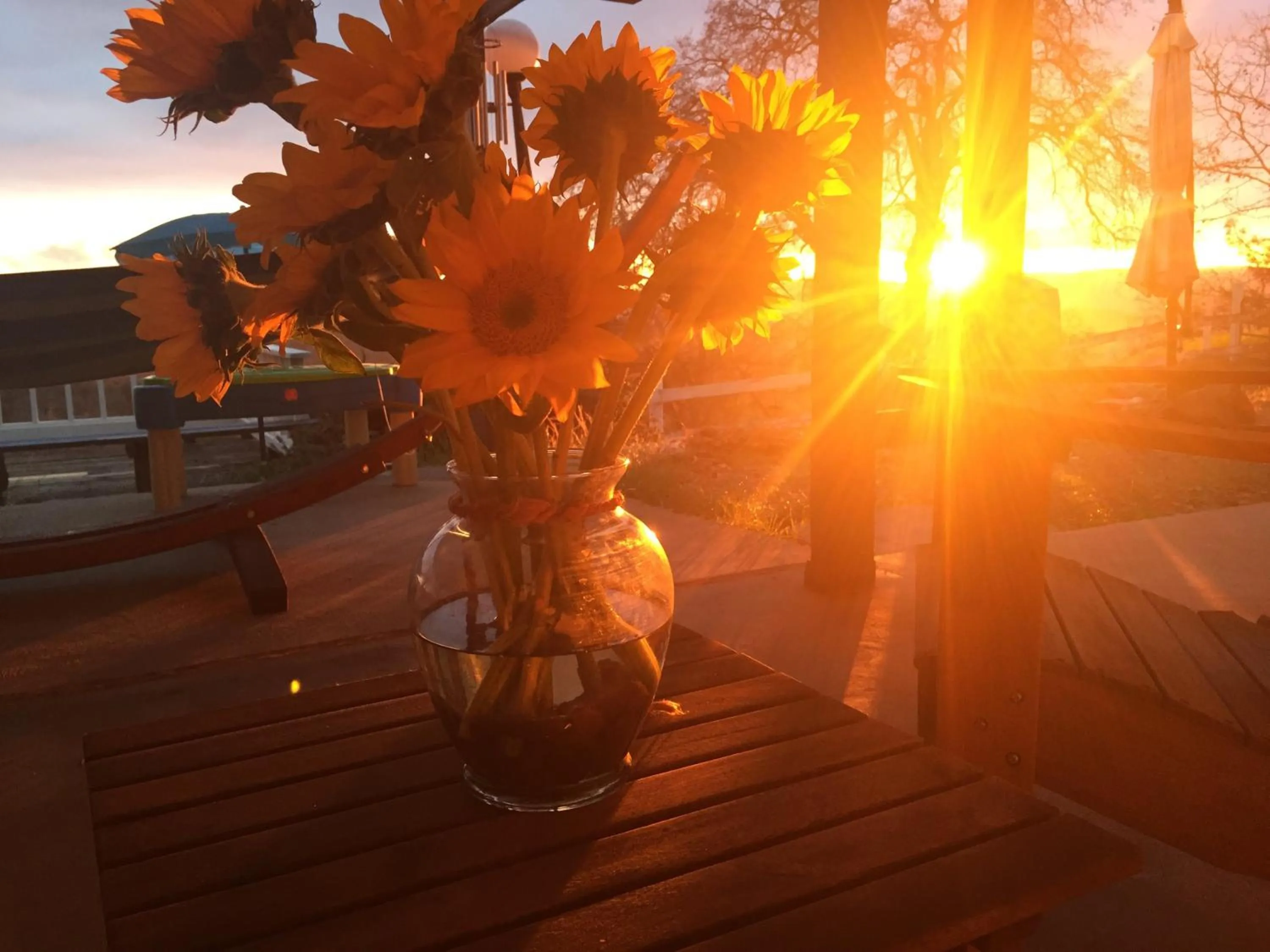 Sunset in Moon Ranch - a gateway to Yosemite