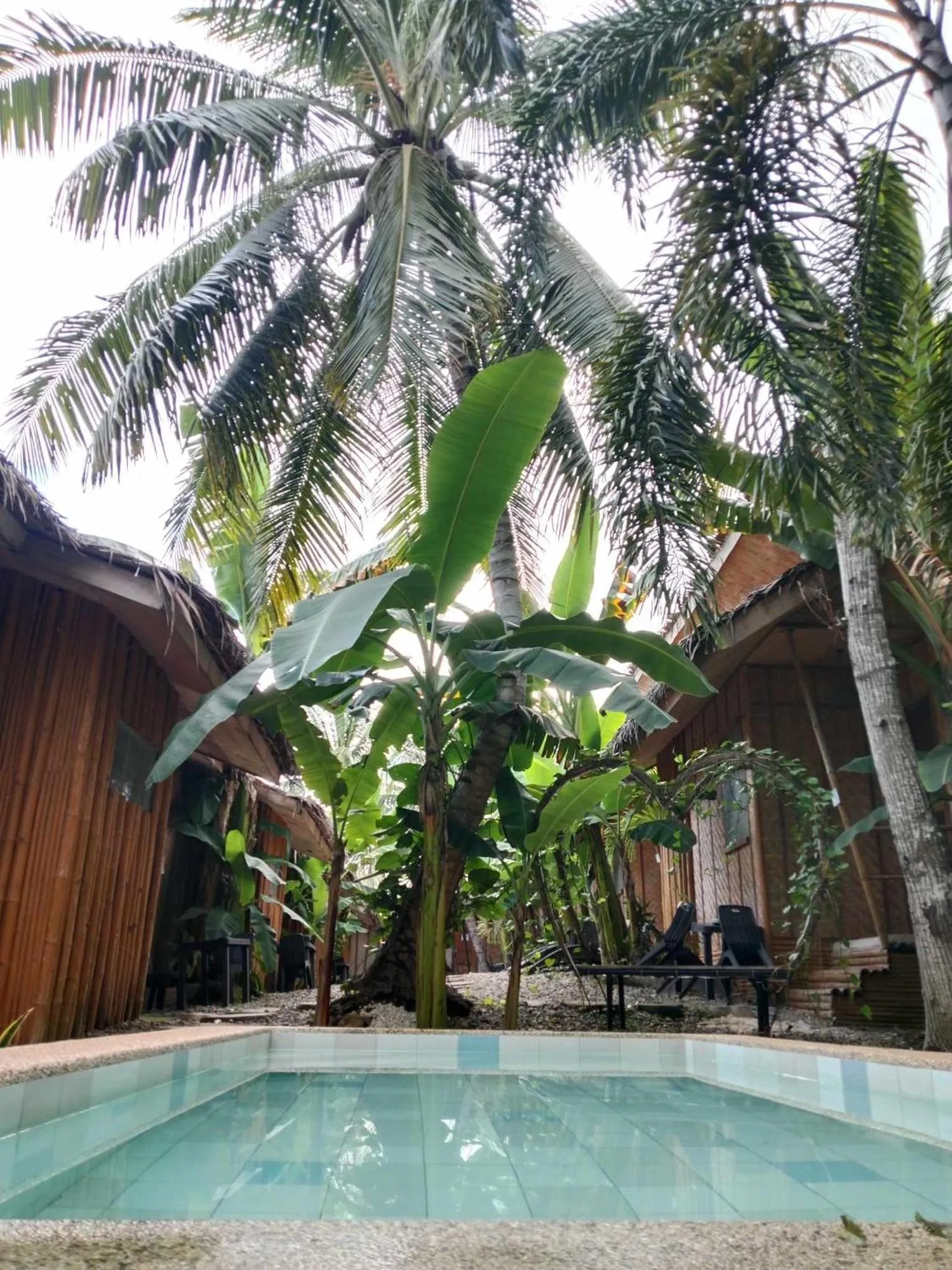 Pool view in Ecostay Panglao Resort Hotel