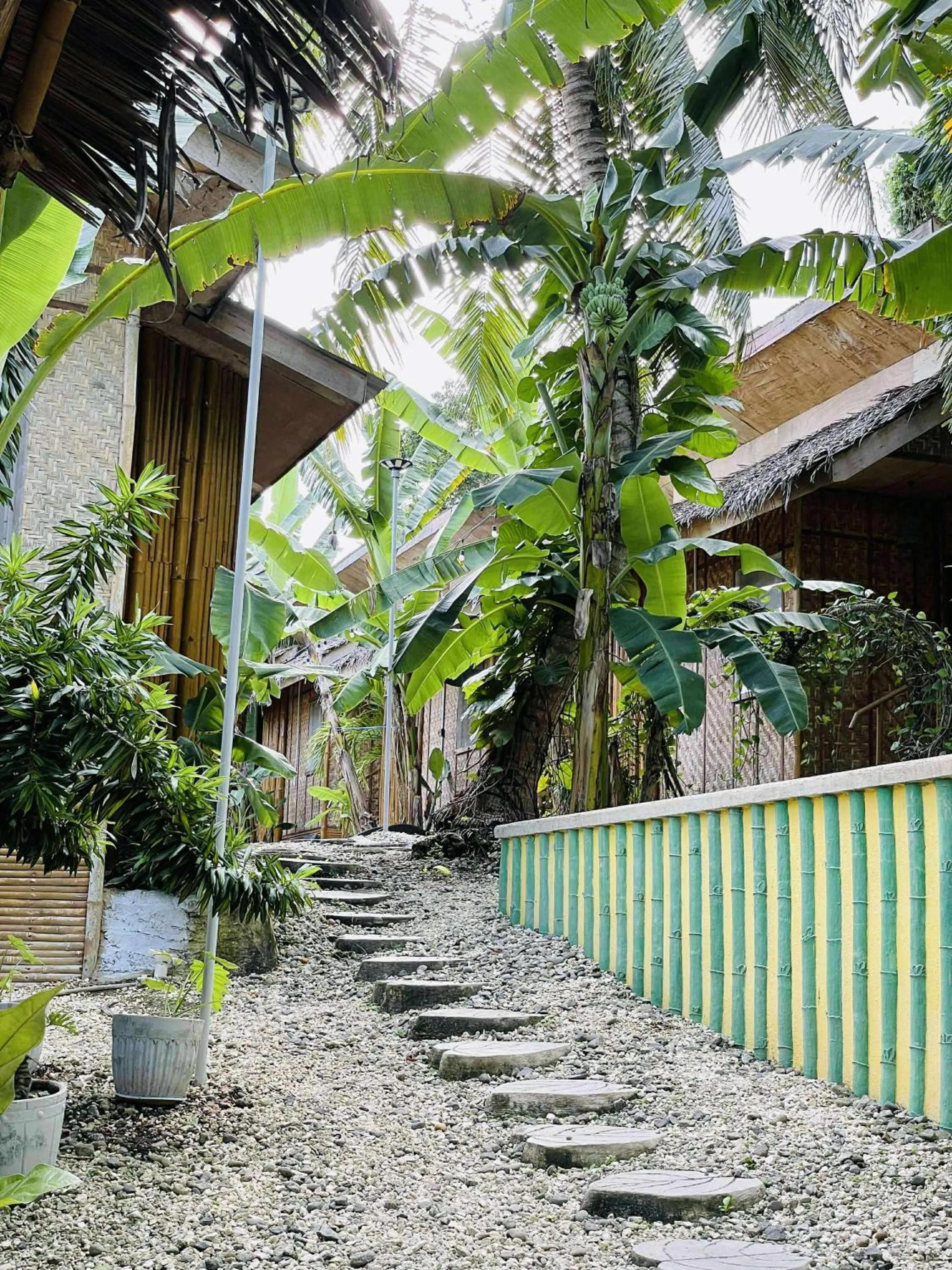 View (from property/room) in Ecostay Panglao Resort Hotel