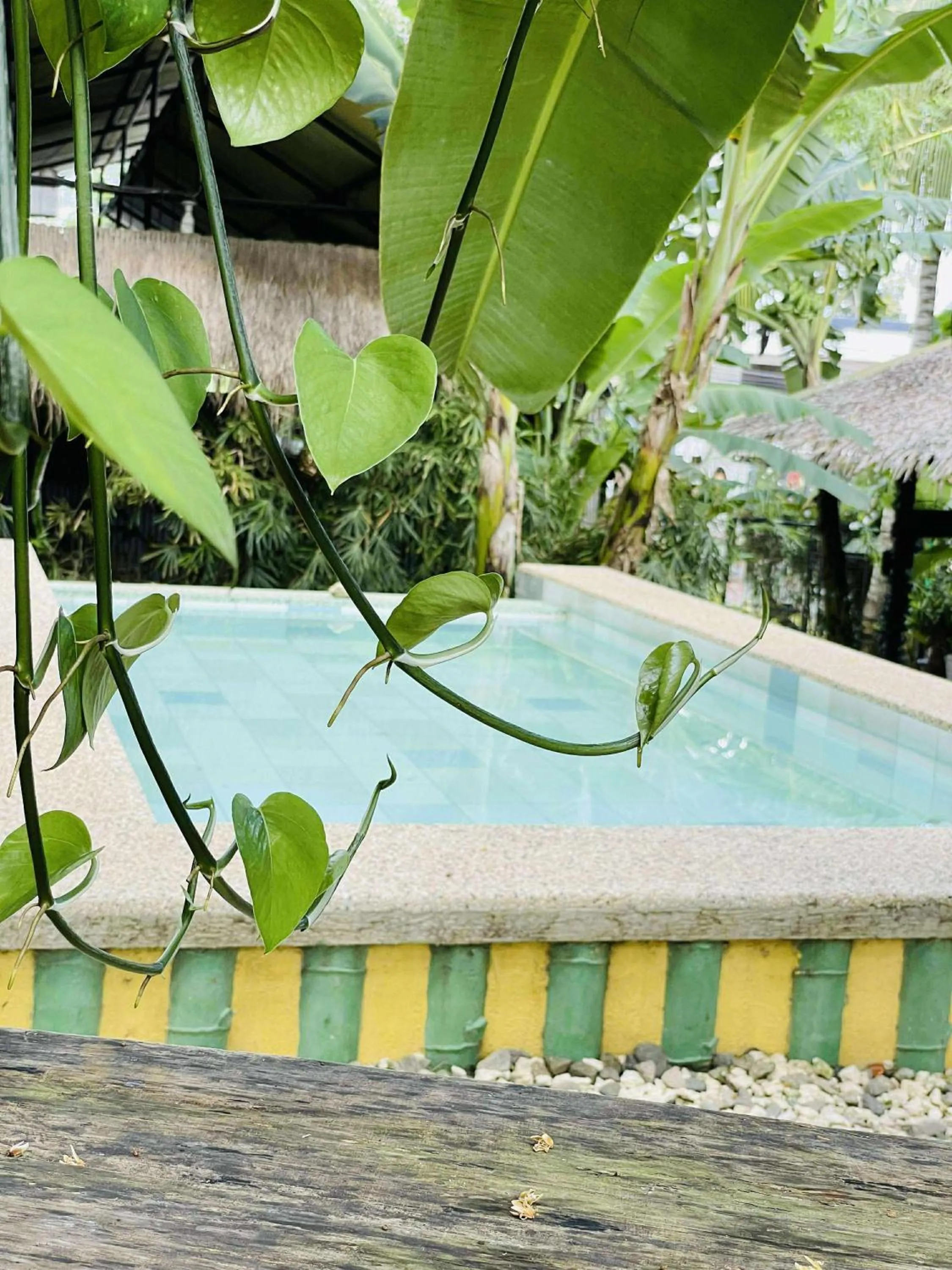 Swimming pool in Ecostay Panglao Resort Hotel