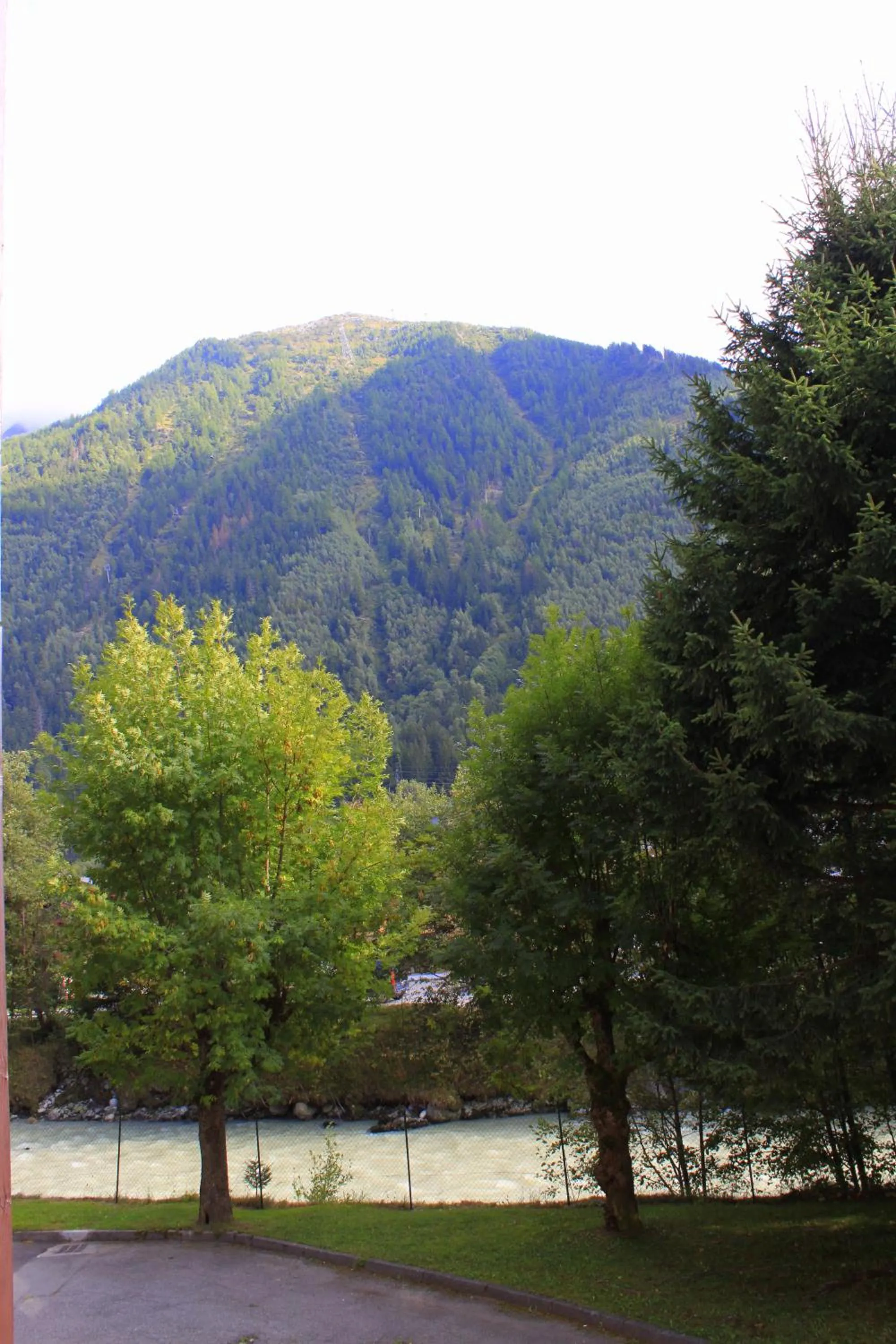 Garden view in Apartment Arve - Chamonix Peaks Retreat