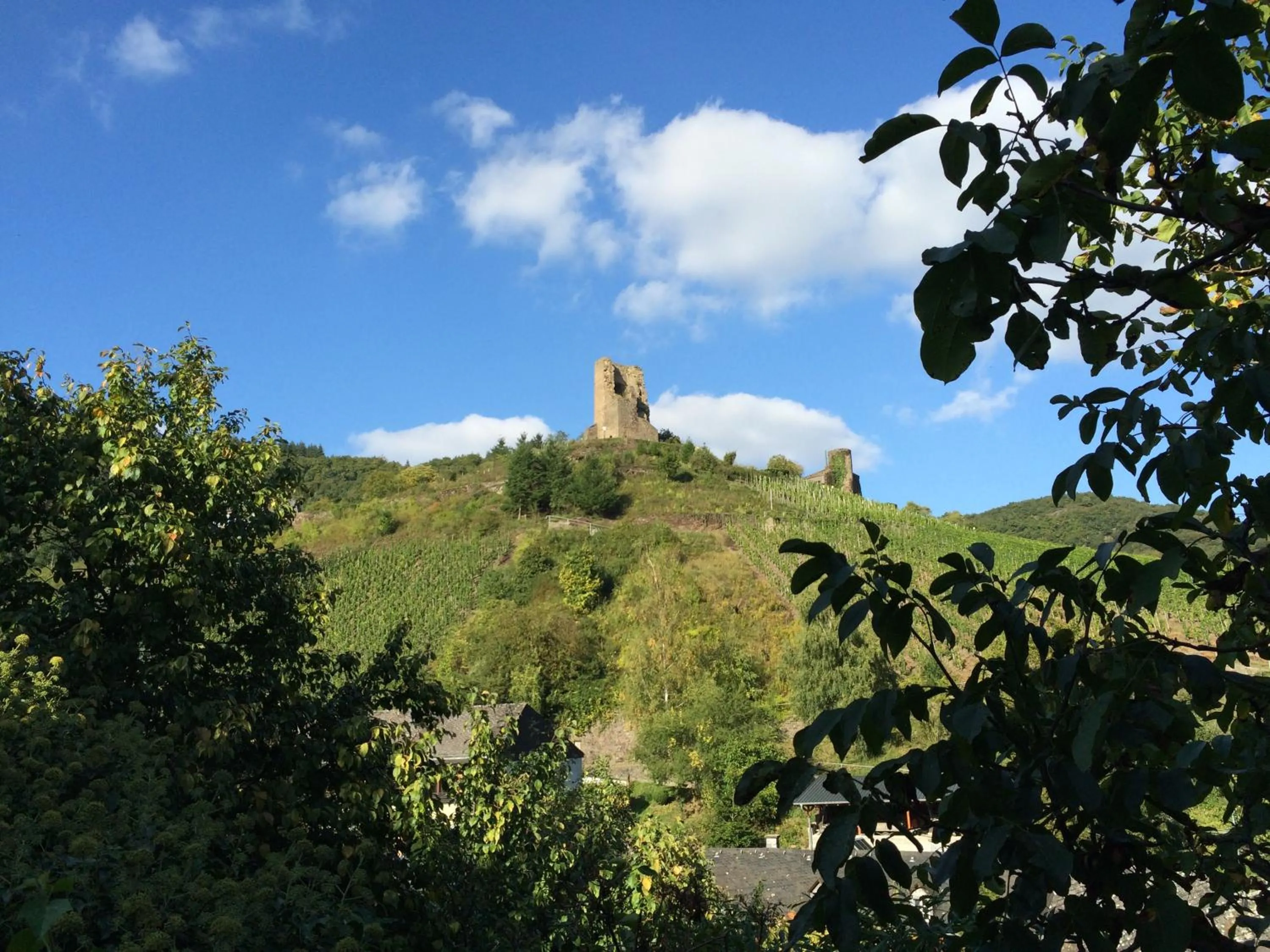 Nearby landmark in Ferienwohnung Ambiente