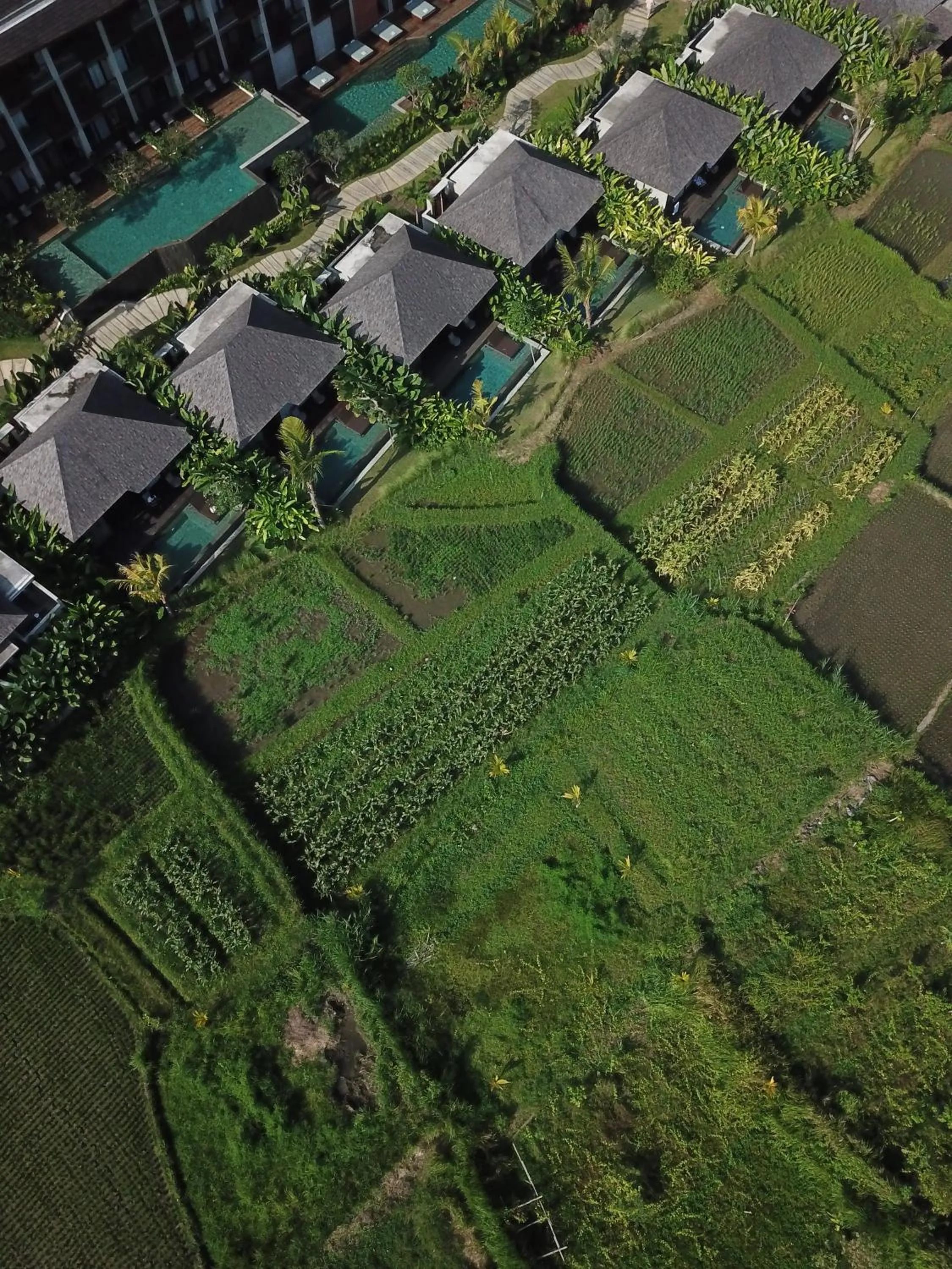 Property building in The Garcia Ubud Hotel & Resort