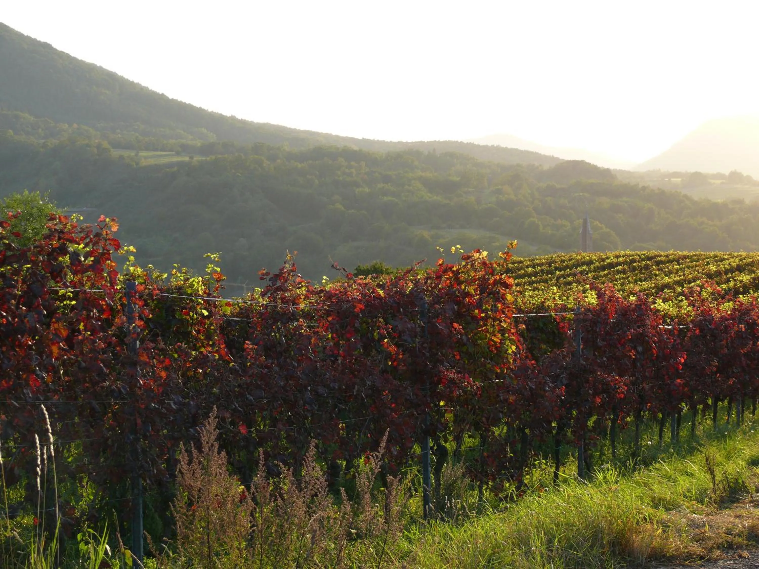 Day in Landhotel Sonnenhof