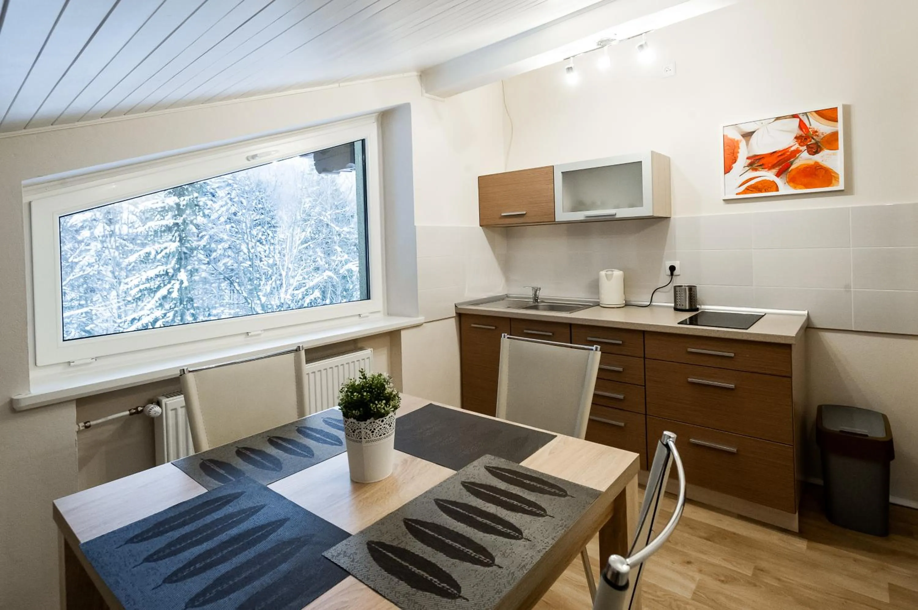 Apartamenty Pod Gondolą