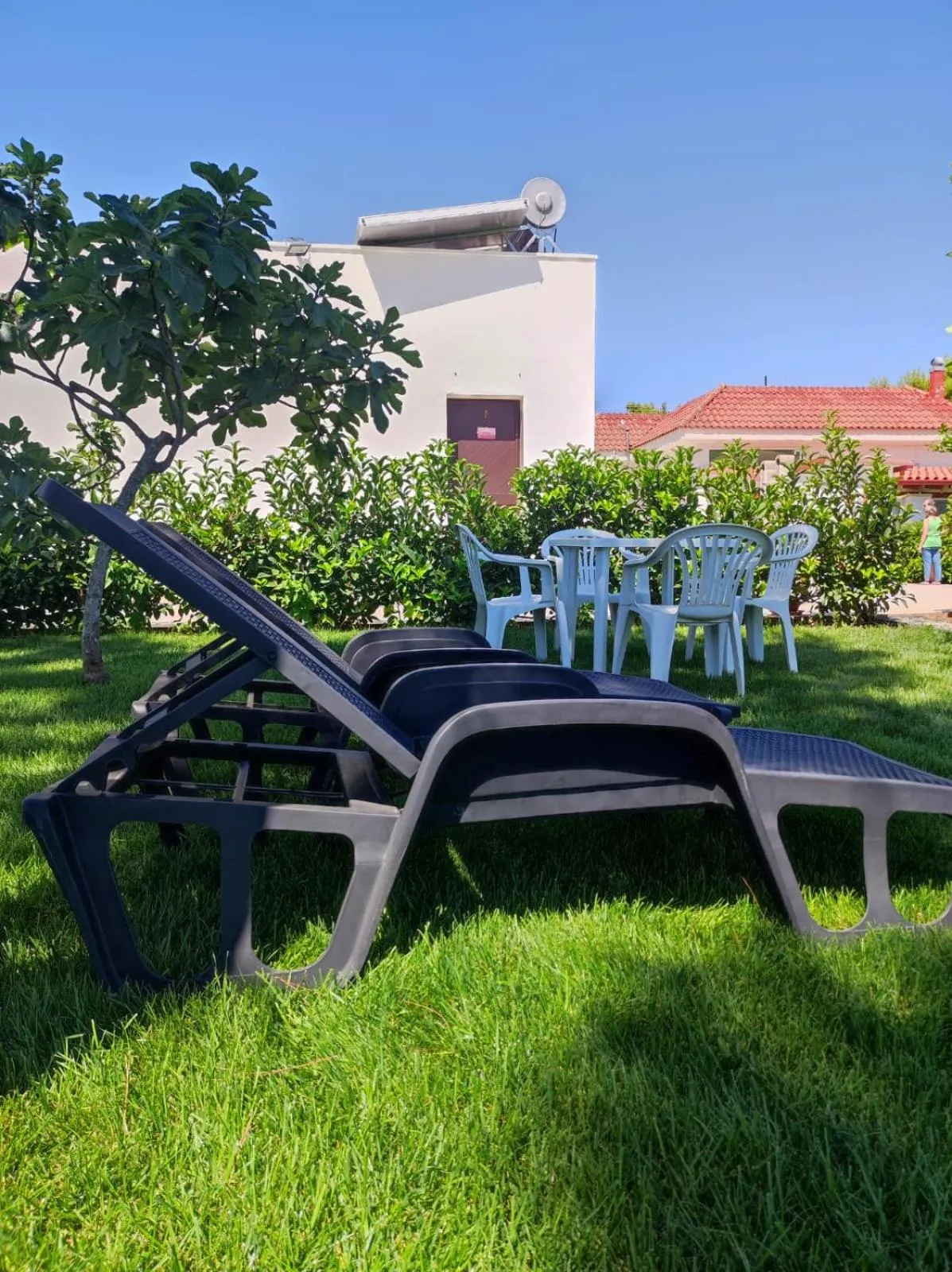 Garden in B&B Villa VITTORIO