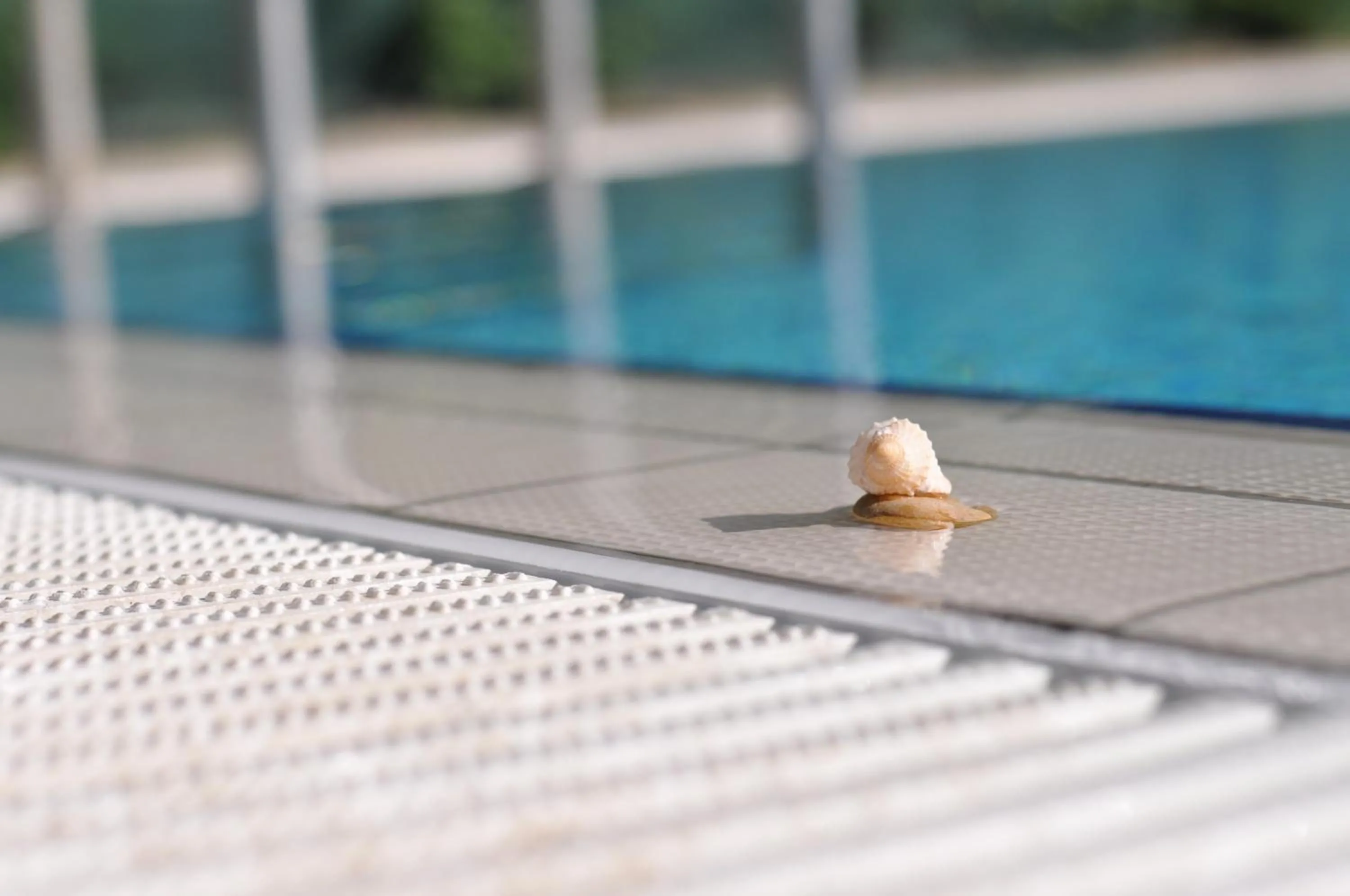 Swimming pool in Aqua Wellness Apartments