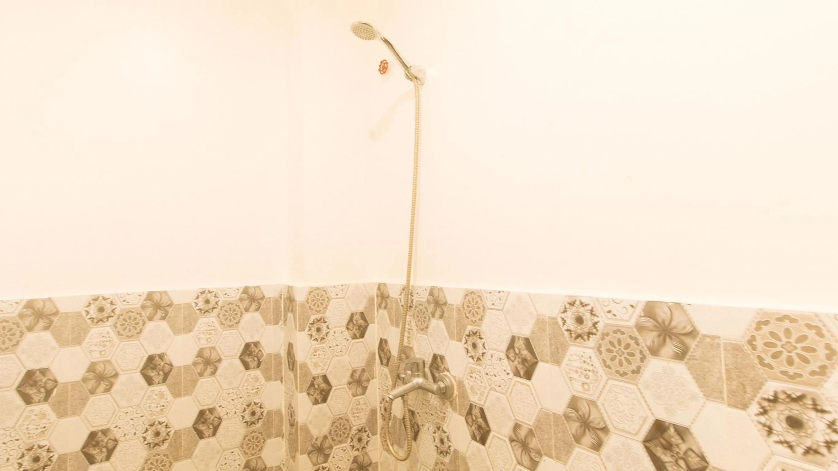 Shower in RedDoorz at Minas Place 1 Tacloban