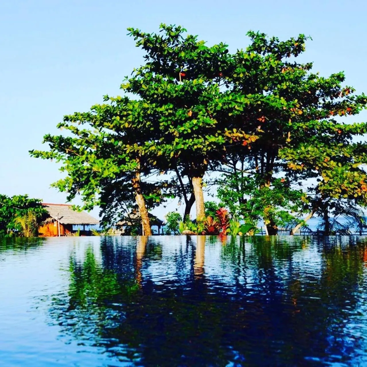 Vistapaloma beach resort