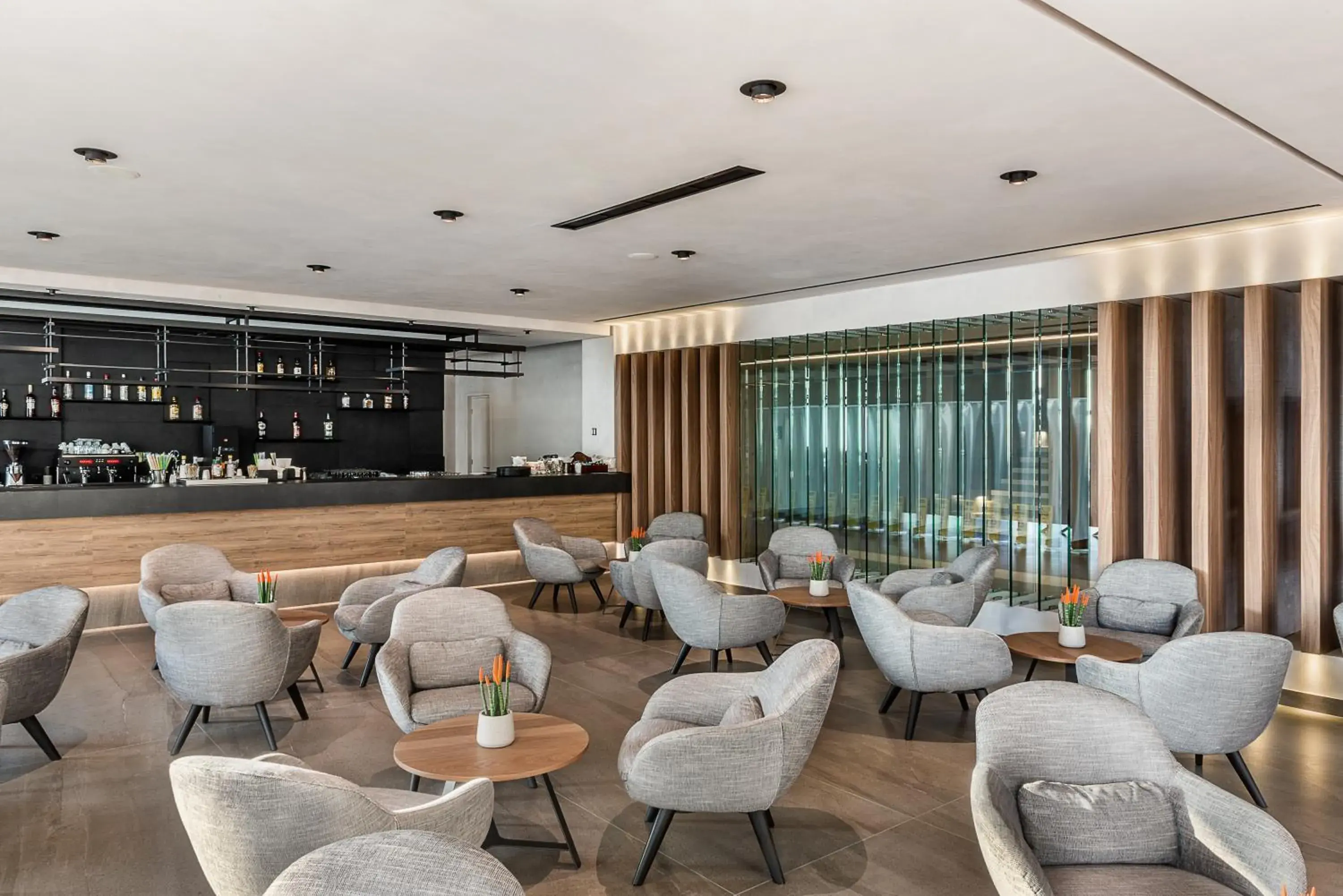 Lounge or bar in Euphoria Resort - All Inclusive Lounge or bar in Euphoria Resort - All Inclusive