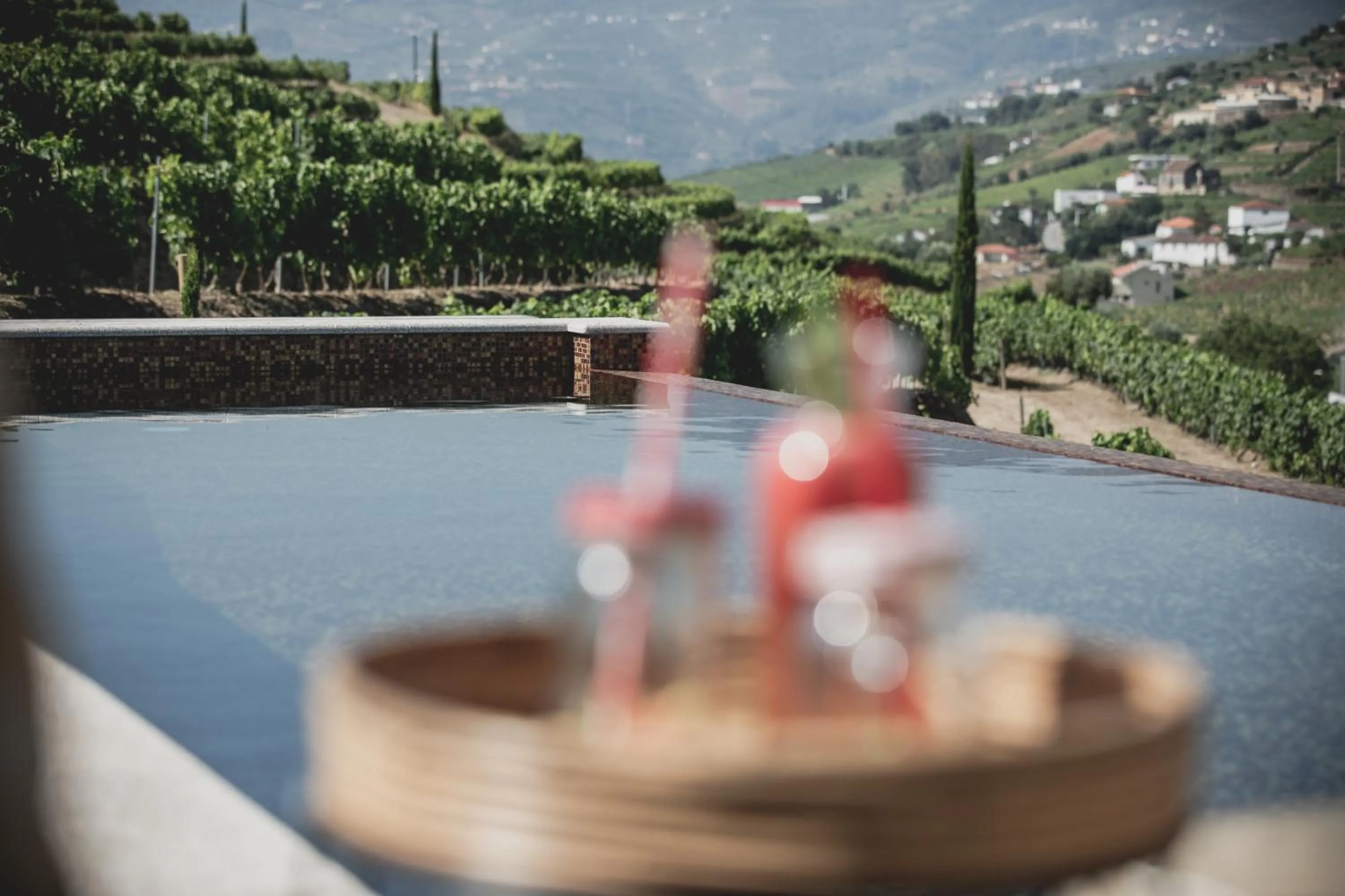 Swimming pool in Casal dos Capelinhos - Douro