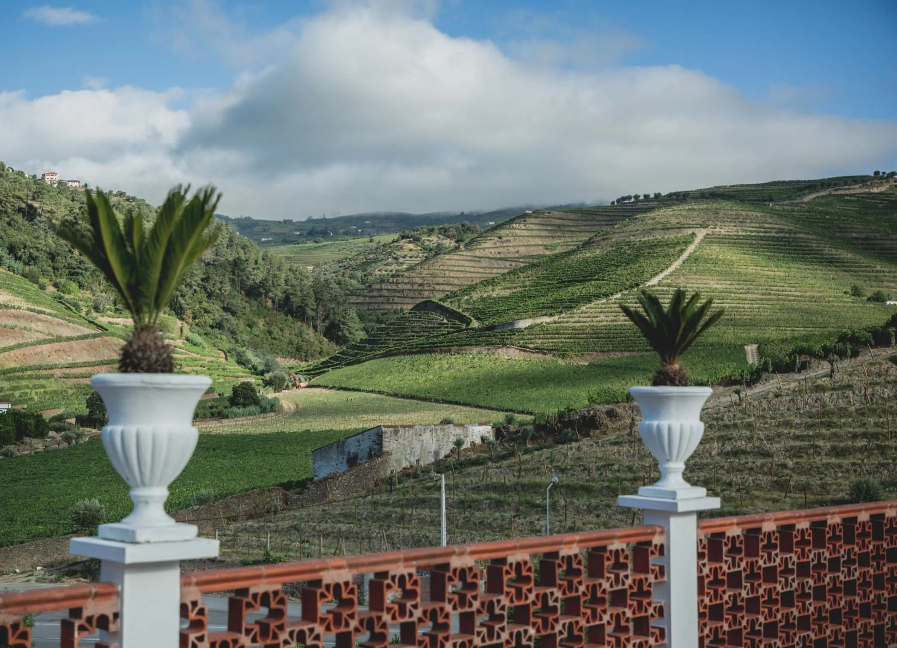 Balcony/Terrace in Casal dos Capelinhos - Douro