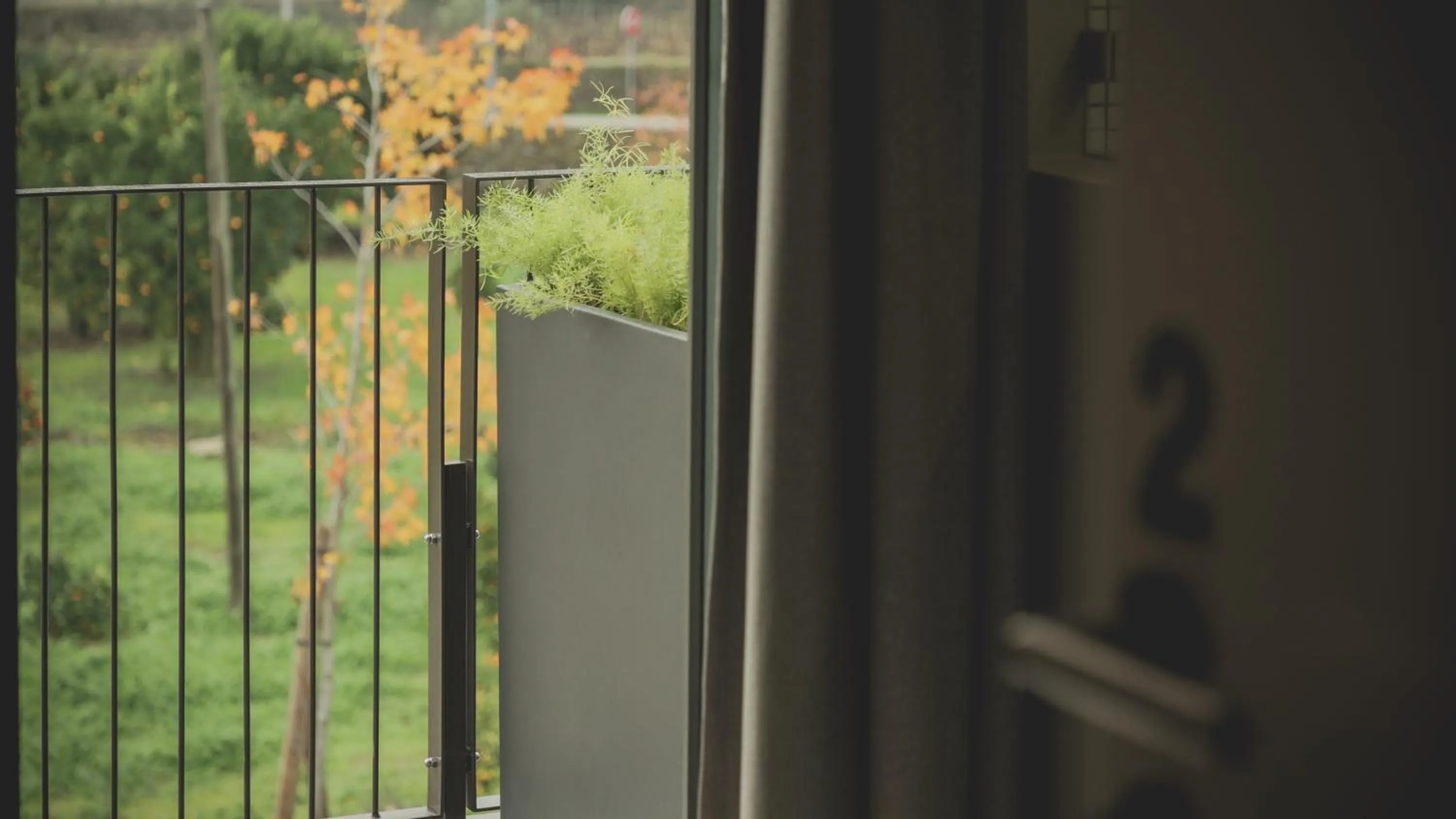 Balcony/Terrace in Casal dos Capelinhos - Douro
