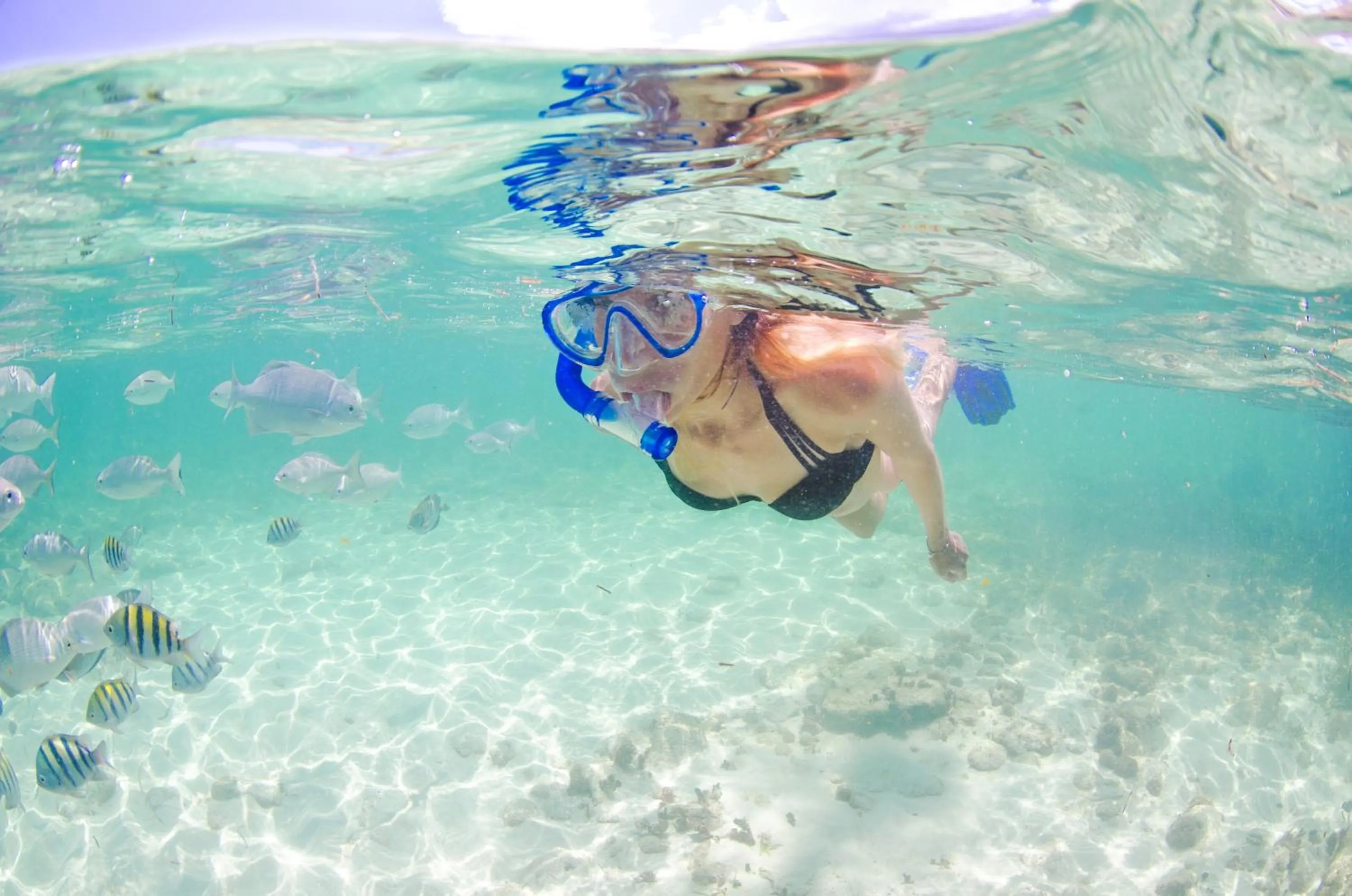 Snorkeling in Wyndham Reef Resort, Grand Cayman