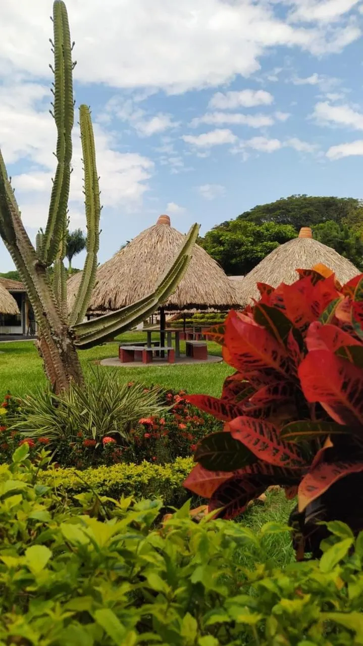 Garden in Hotel Las Victorias Palmira