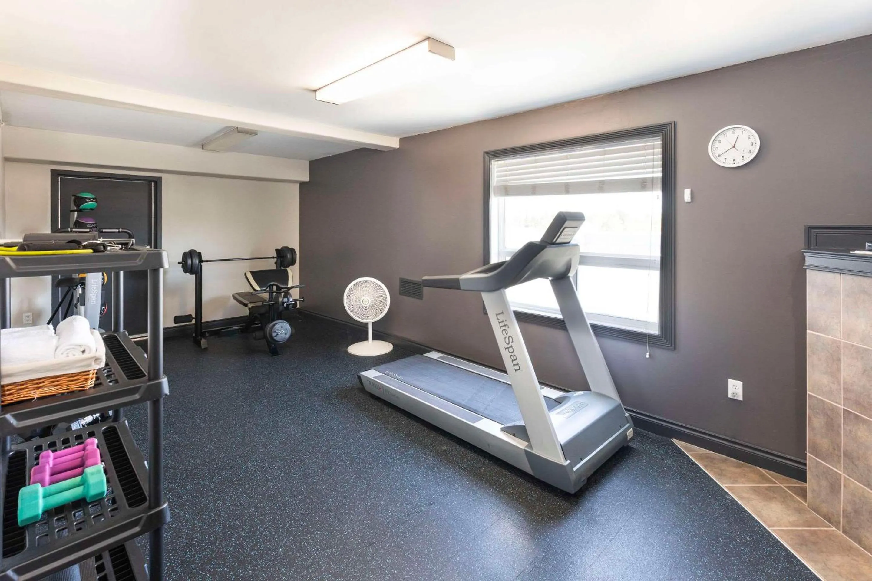 Fitness centre/facilities in Quality Inn & Suites