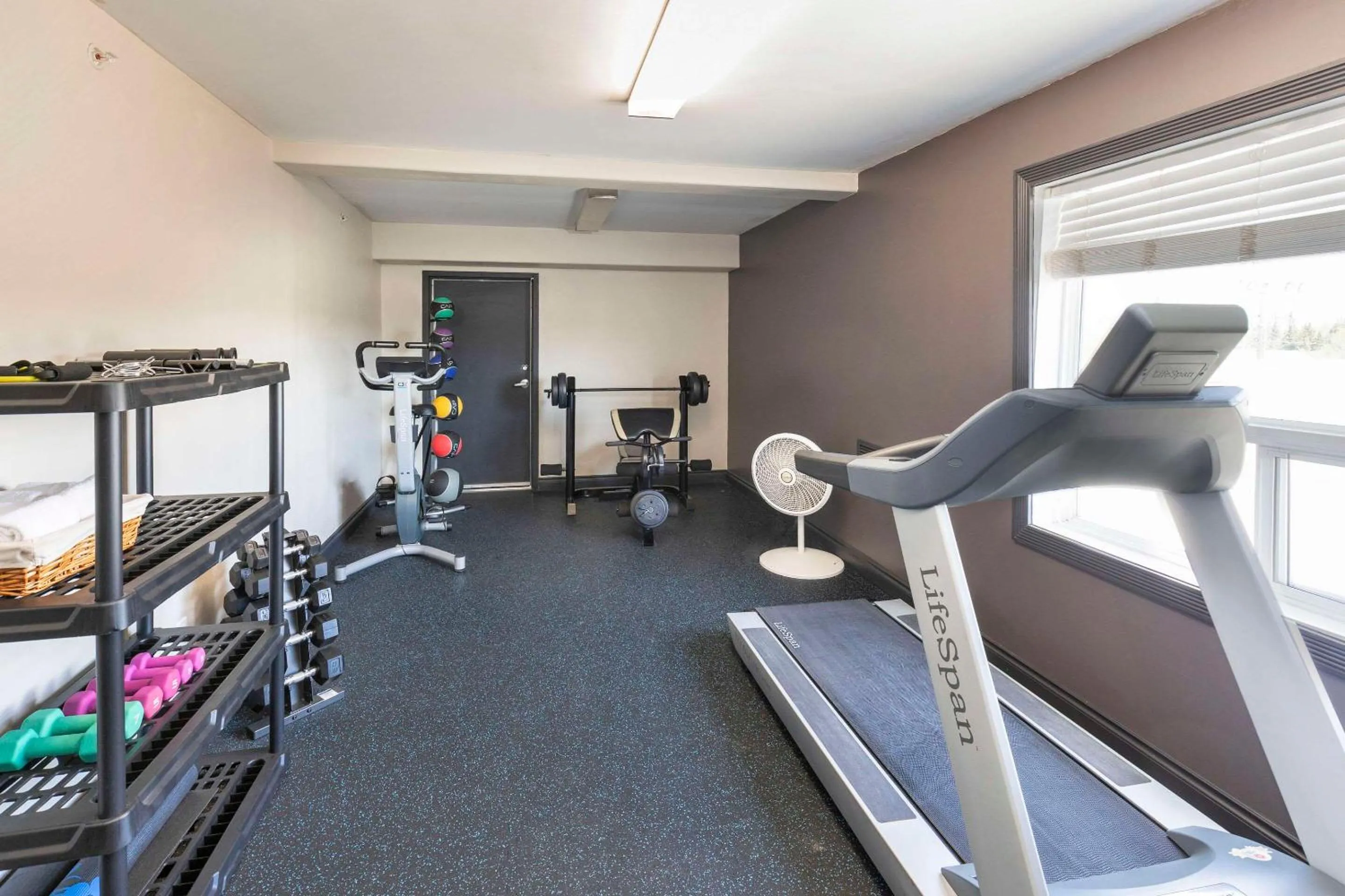 Fitness centre/facilities in Quality Inn & Suites