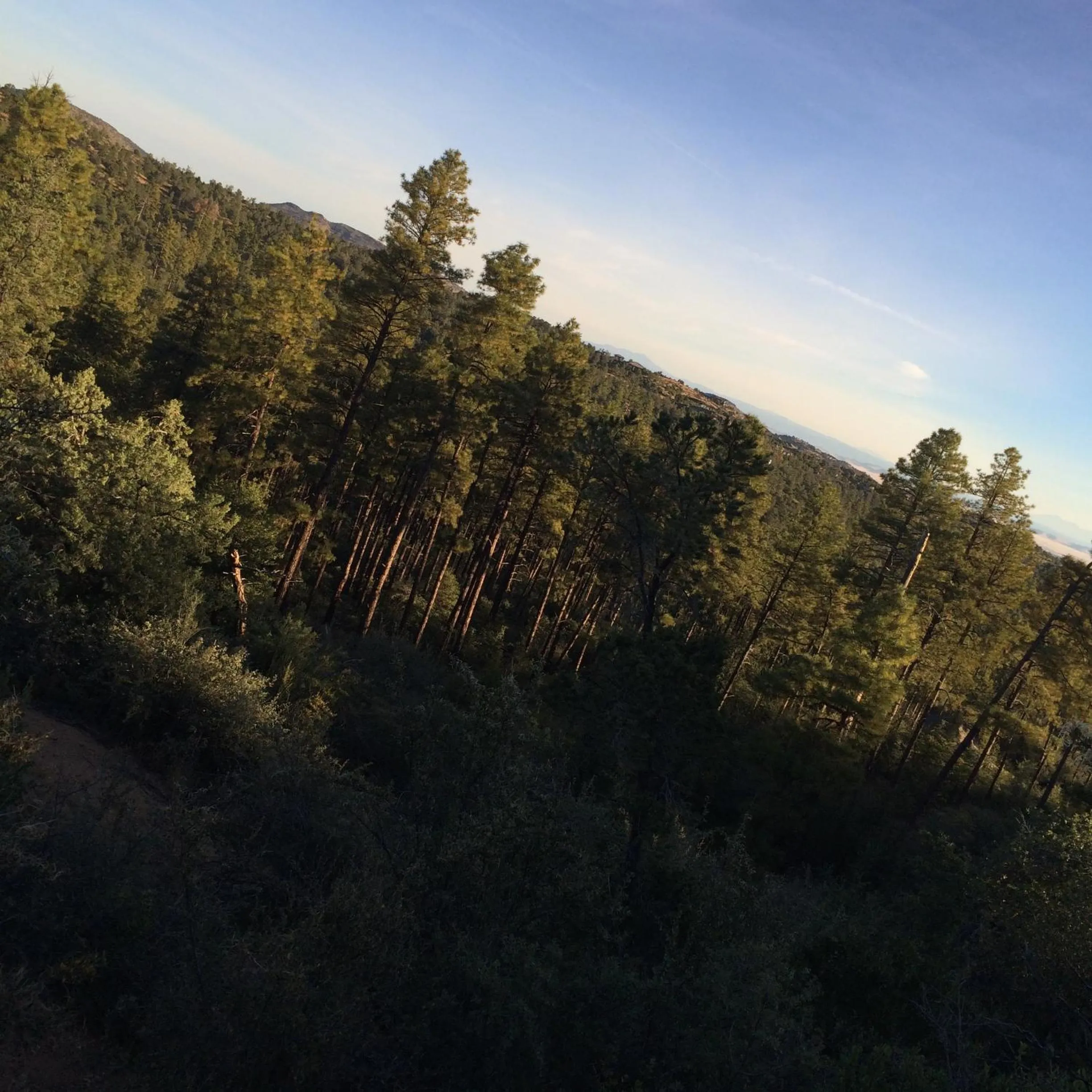 Natural landscape in Apple Creek Cottages